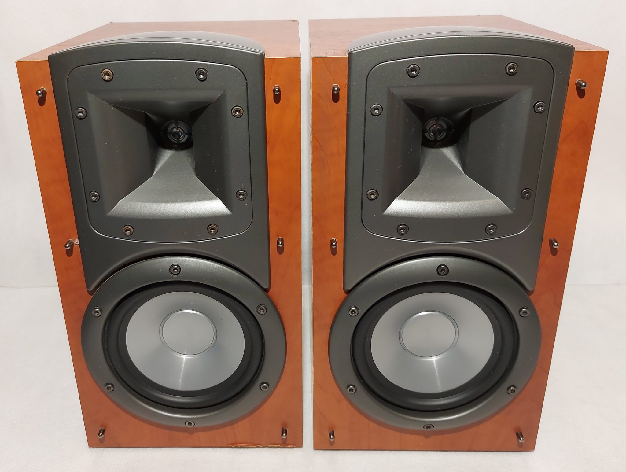 Klipsch Synergy B2 DN Audio