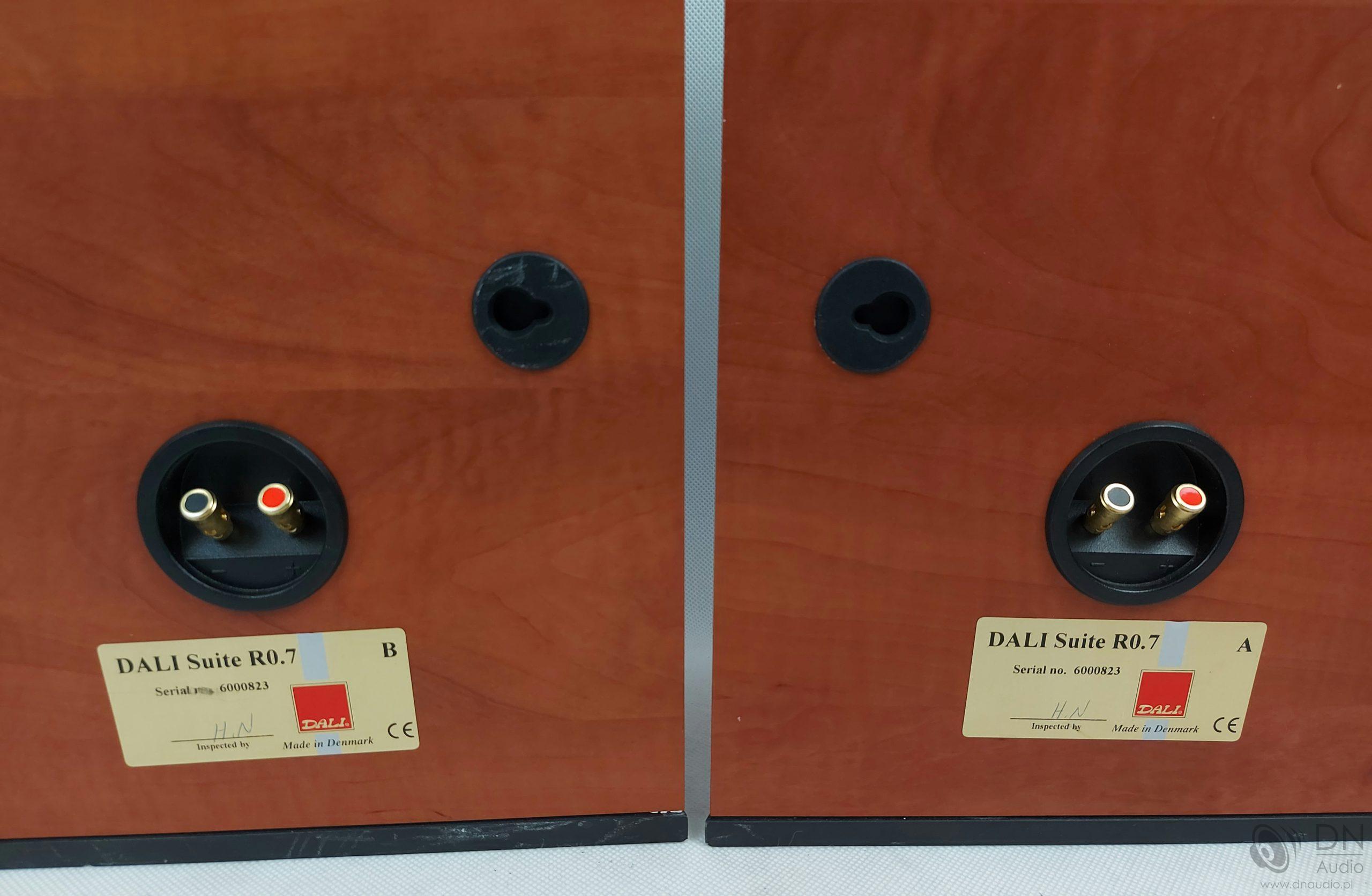 Dali Suite R0.7 - obrazek 9