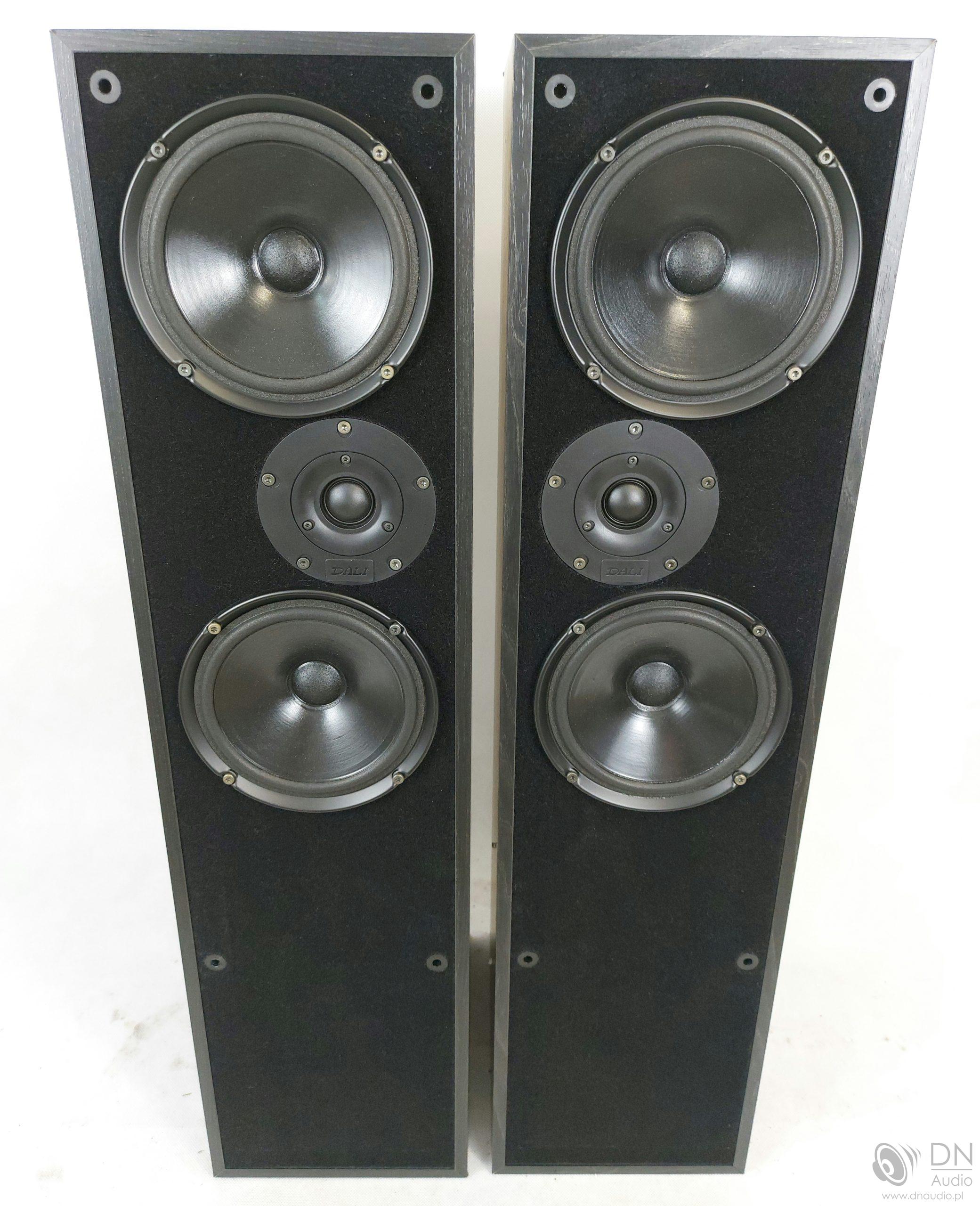 Dali 104 - obrazek 5