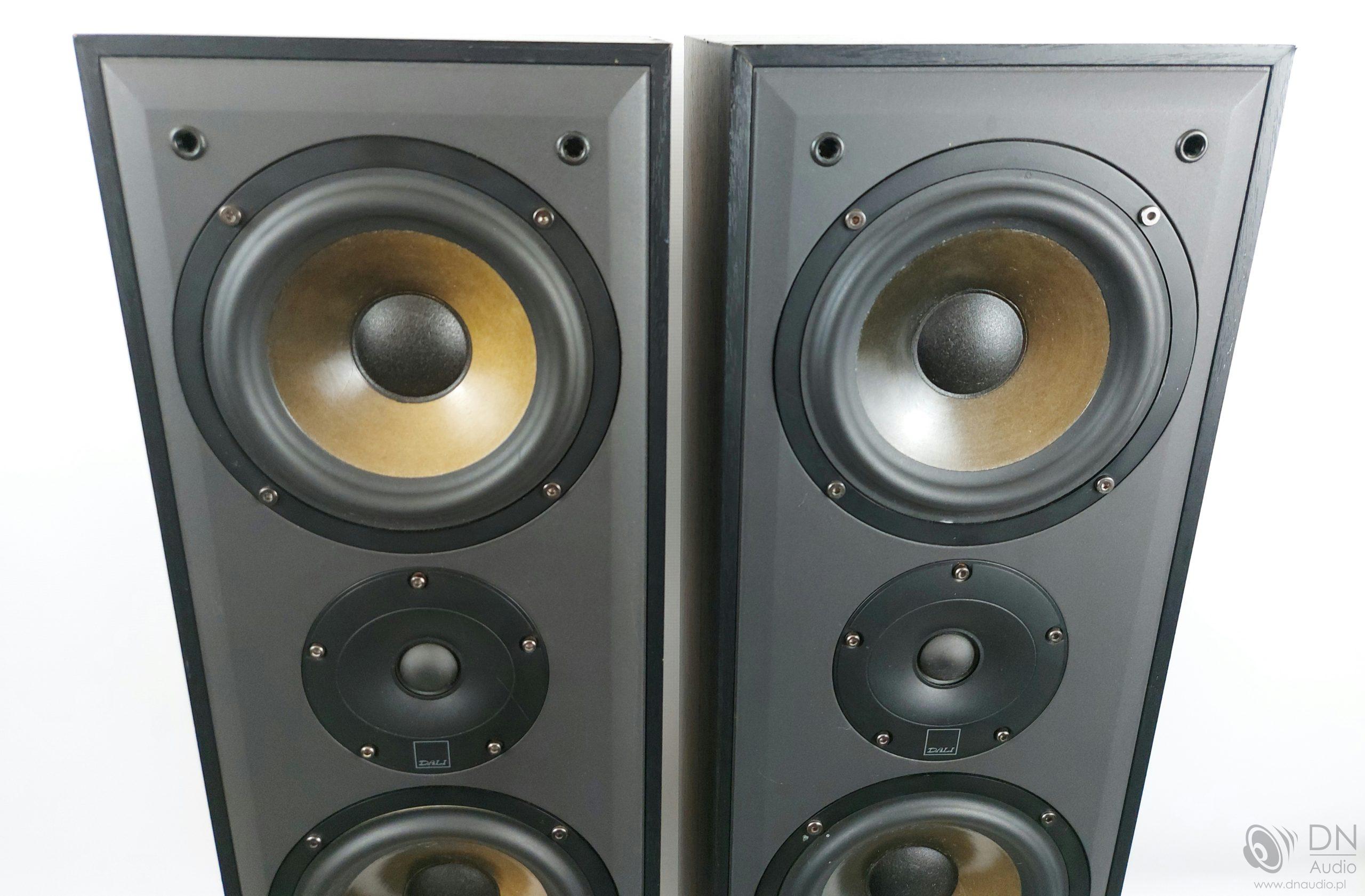 Dali Blue 5005 - obrazek 7