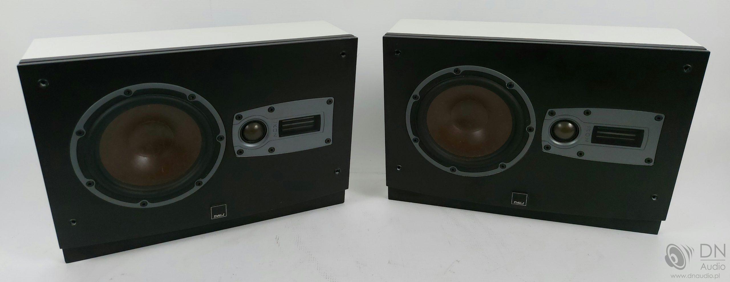 Dali Ikon On-Wall - obrazek 3