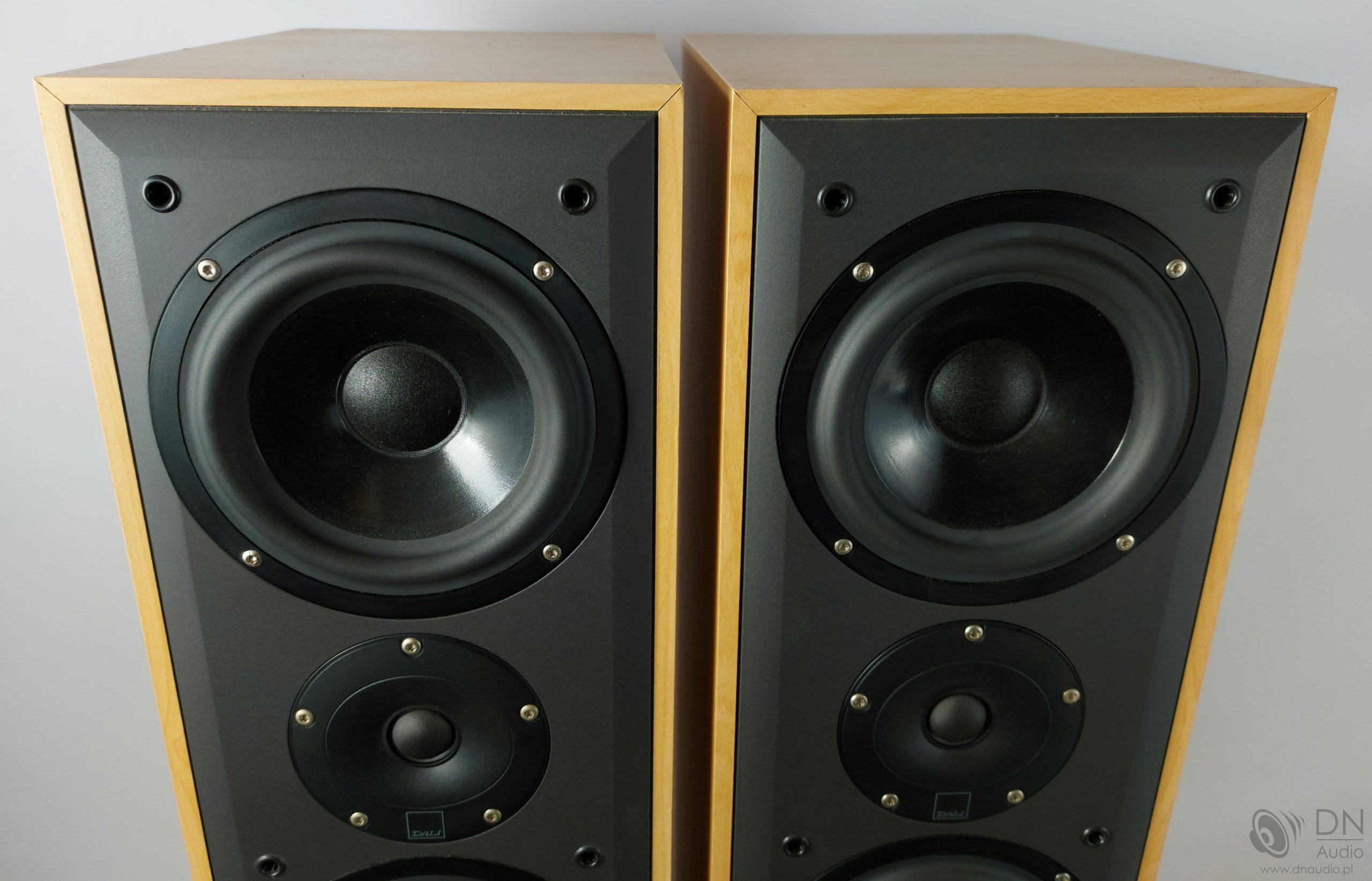 Dali Blue 6006 - obrazek 4