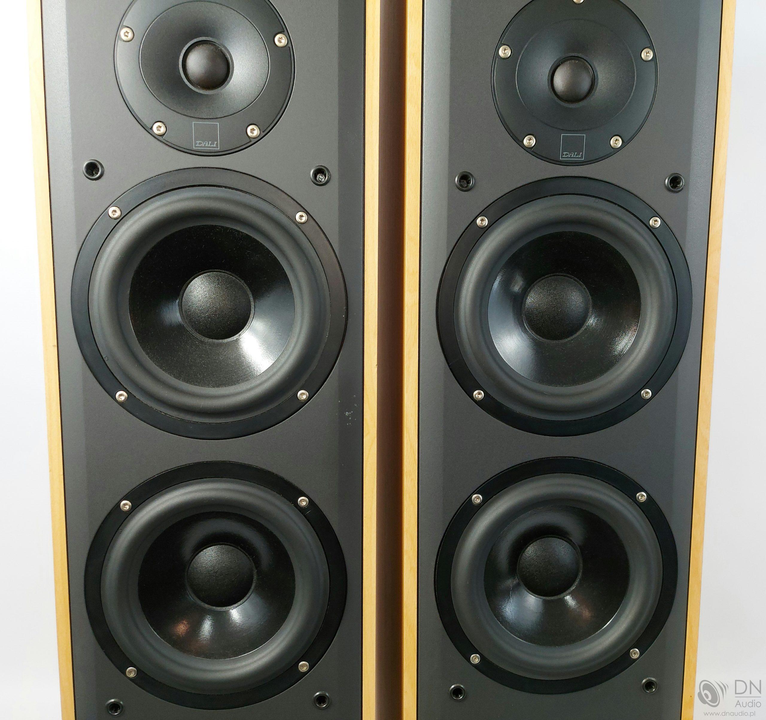 Dali Blue 6006 - obrazek 5