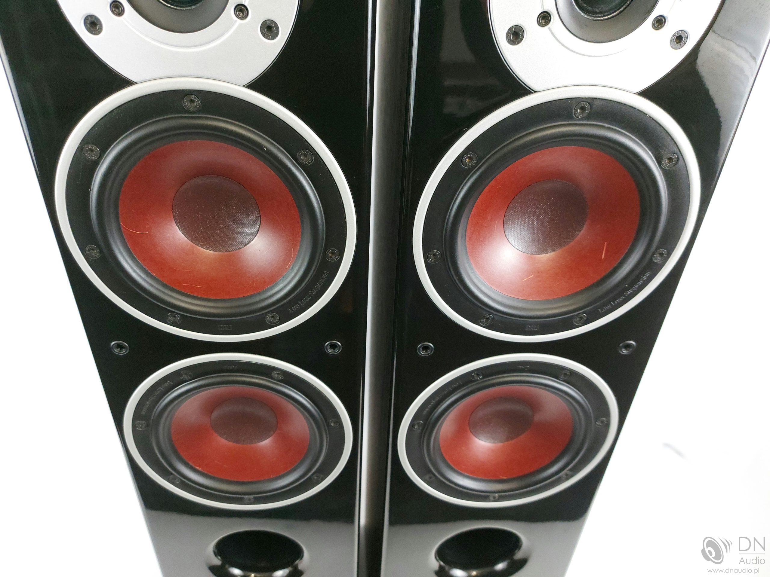 Dali Zensor 5 - obrazek 6