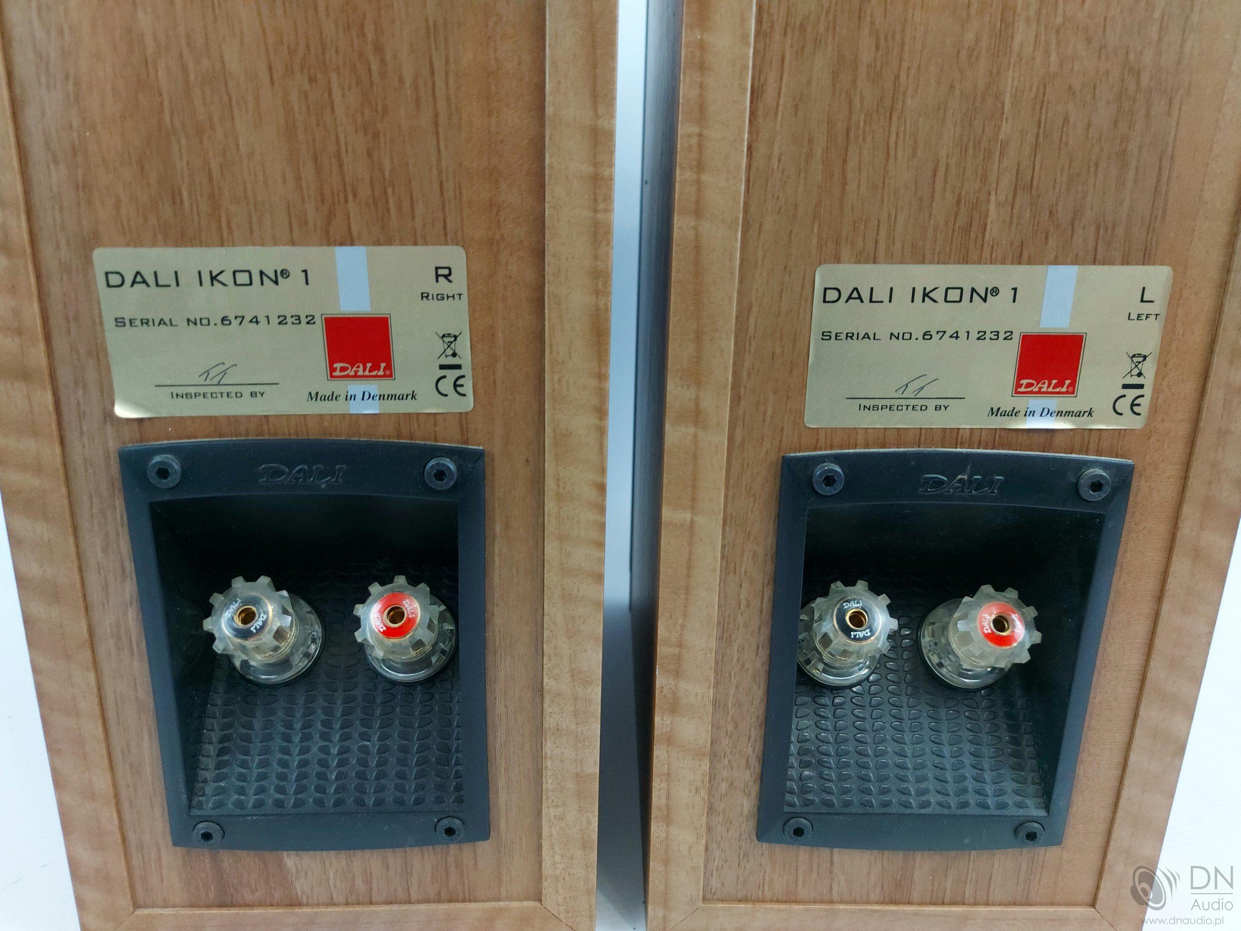 Dali Ikon 1 - obrazek 9