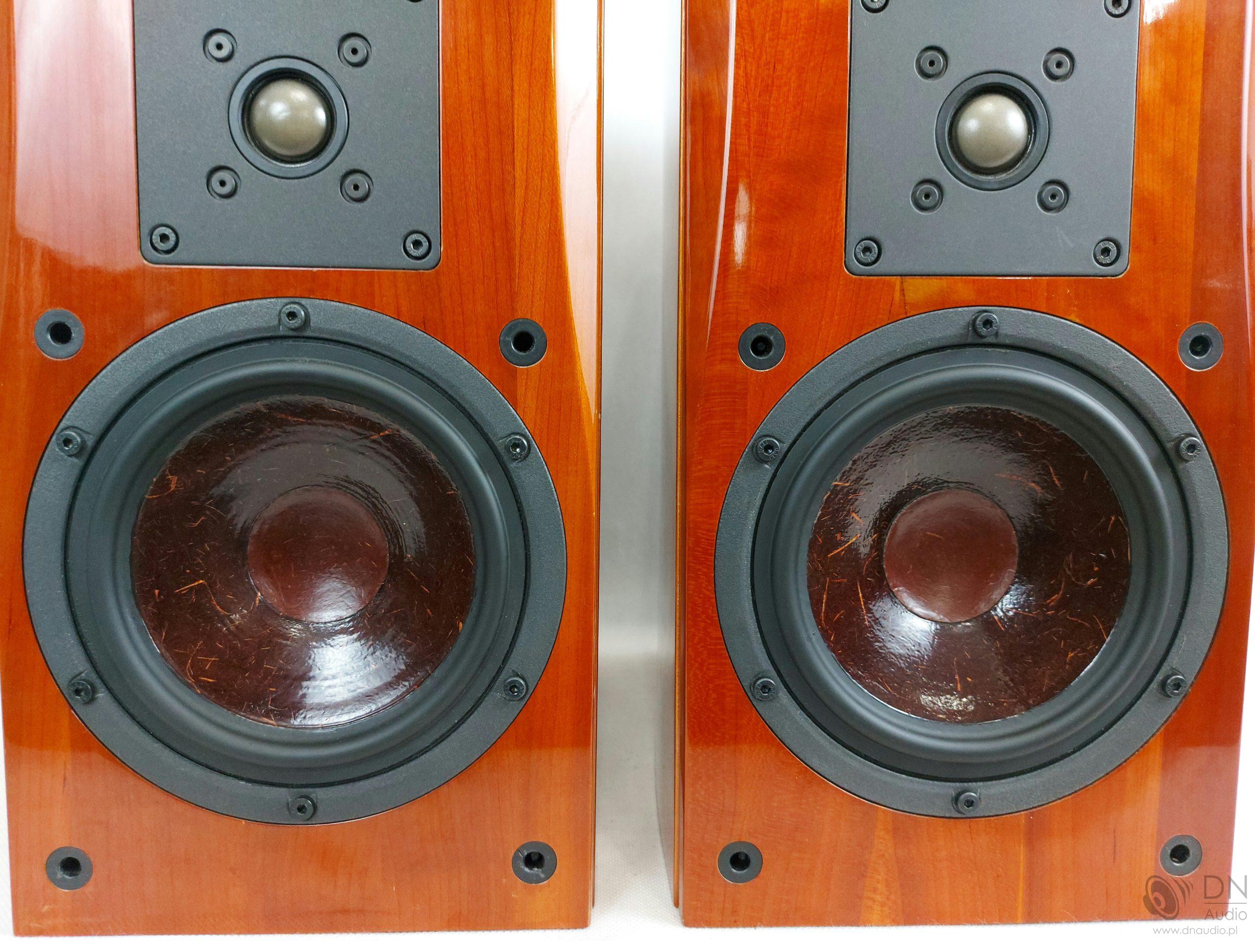 Dali Helicon 300 - obrazek 4