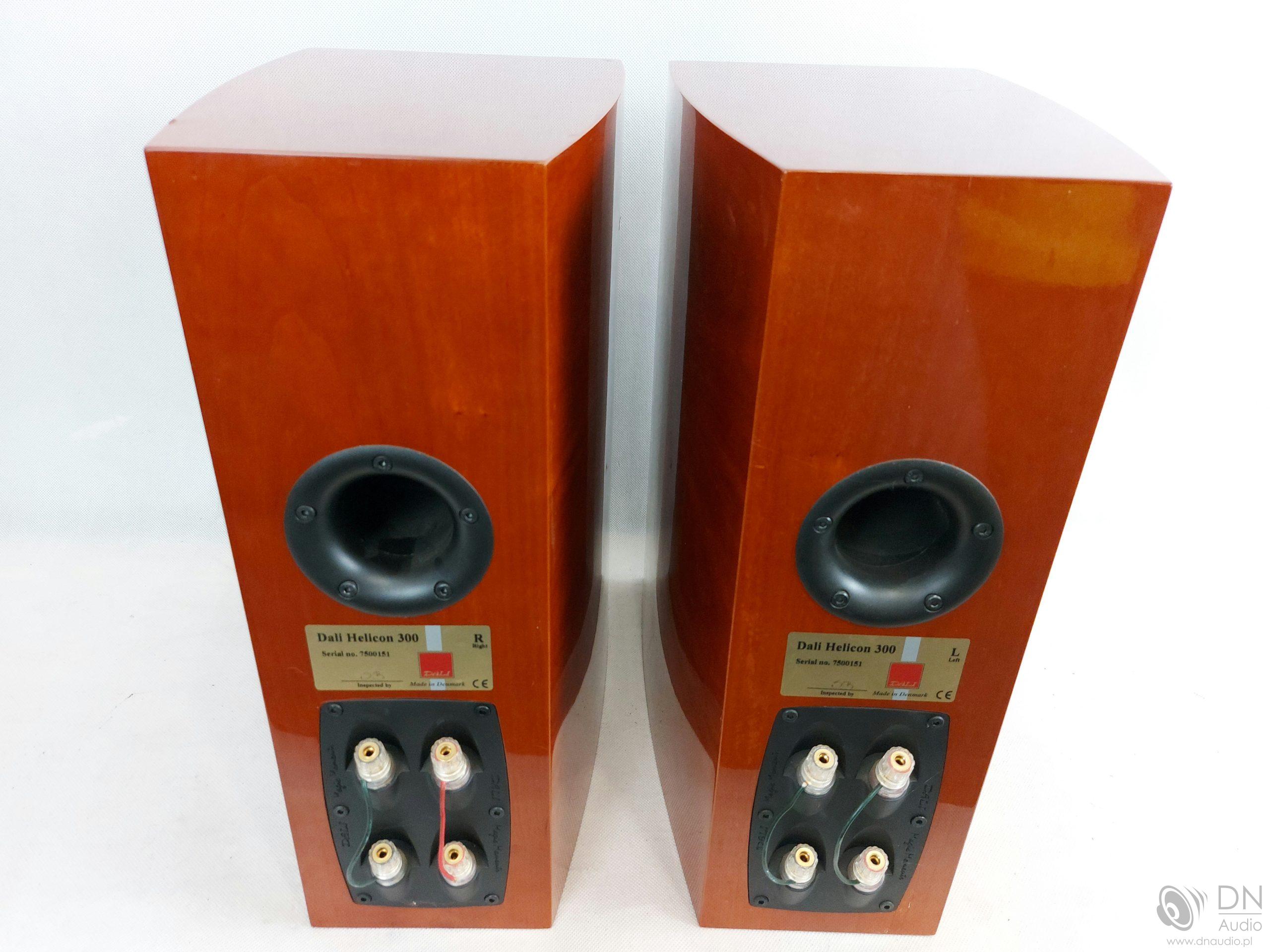 Dali Helicon 300 - obrazek 8