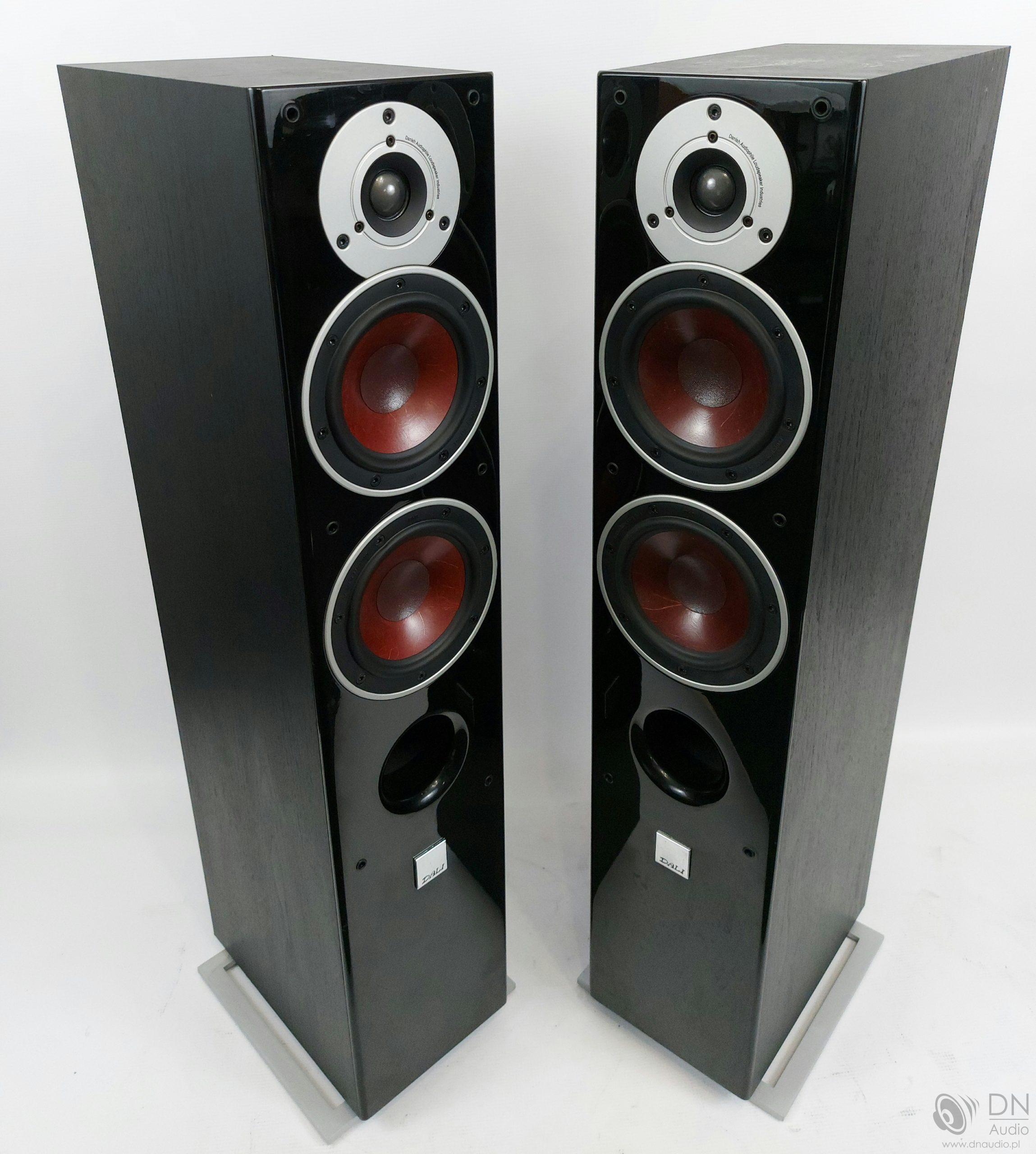 Dali Zensor 5 - obrazek 6