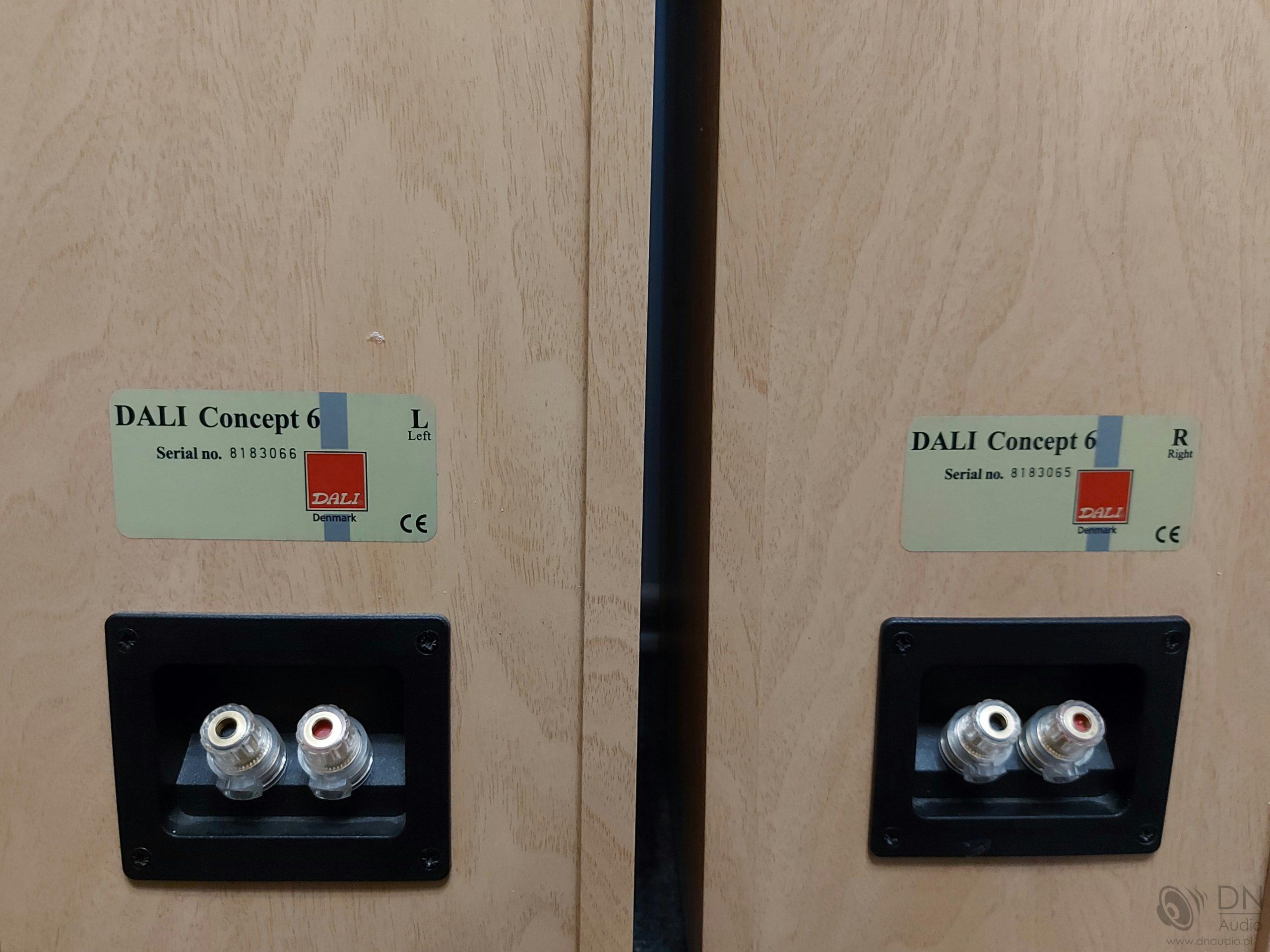 Dali Concept 6 - obrazek 10