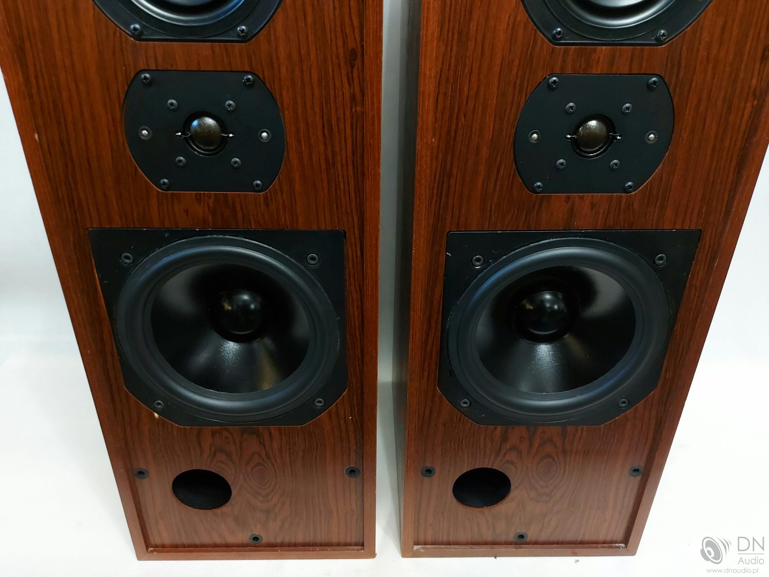 B&W DM2 series II - obrazek 5