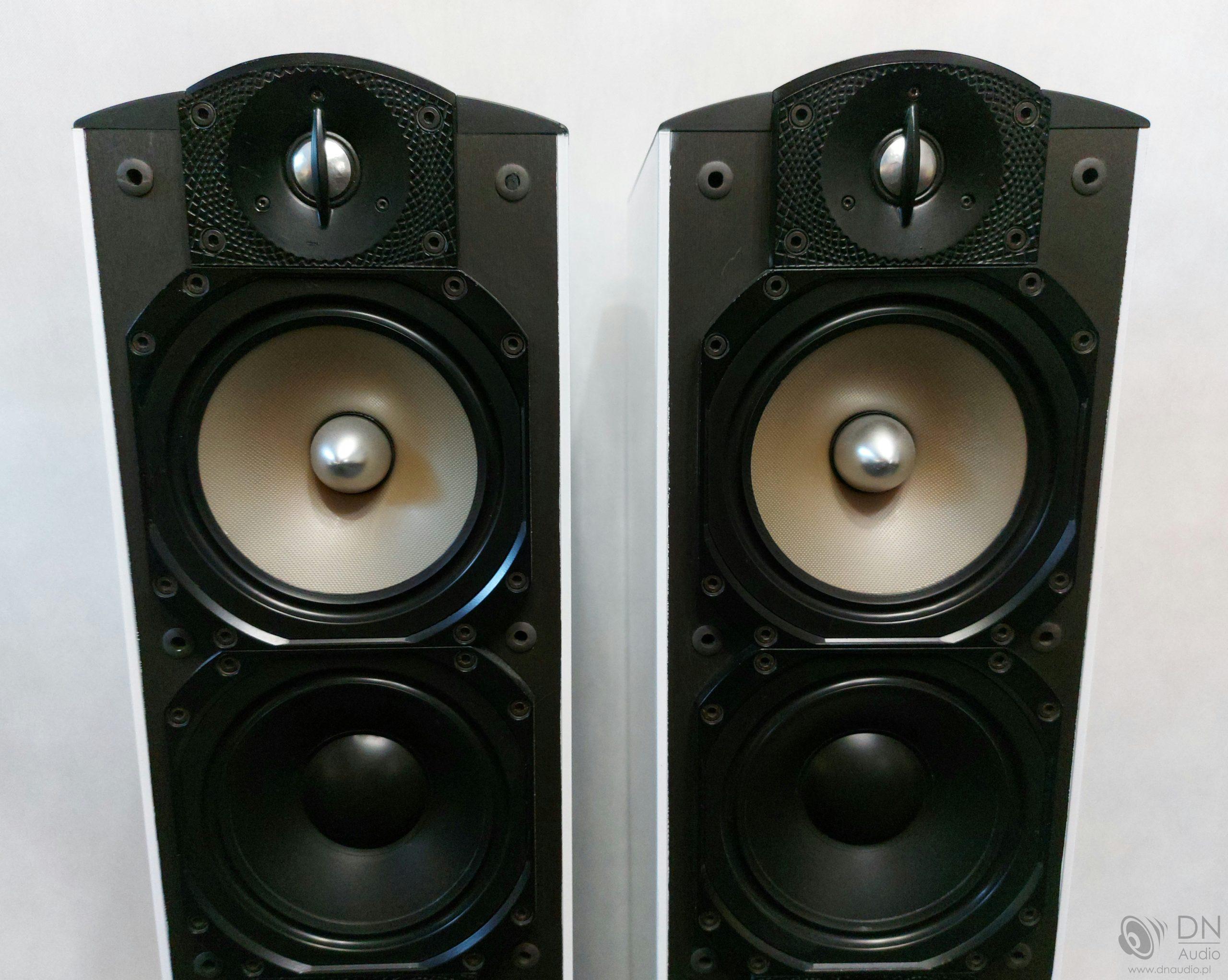 Paradigm Studio 60 V3 - obrazek 3