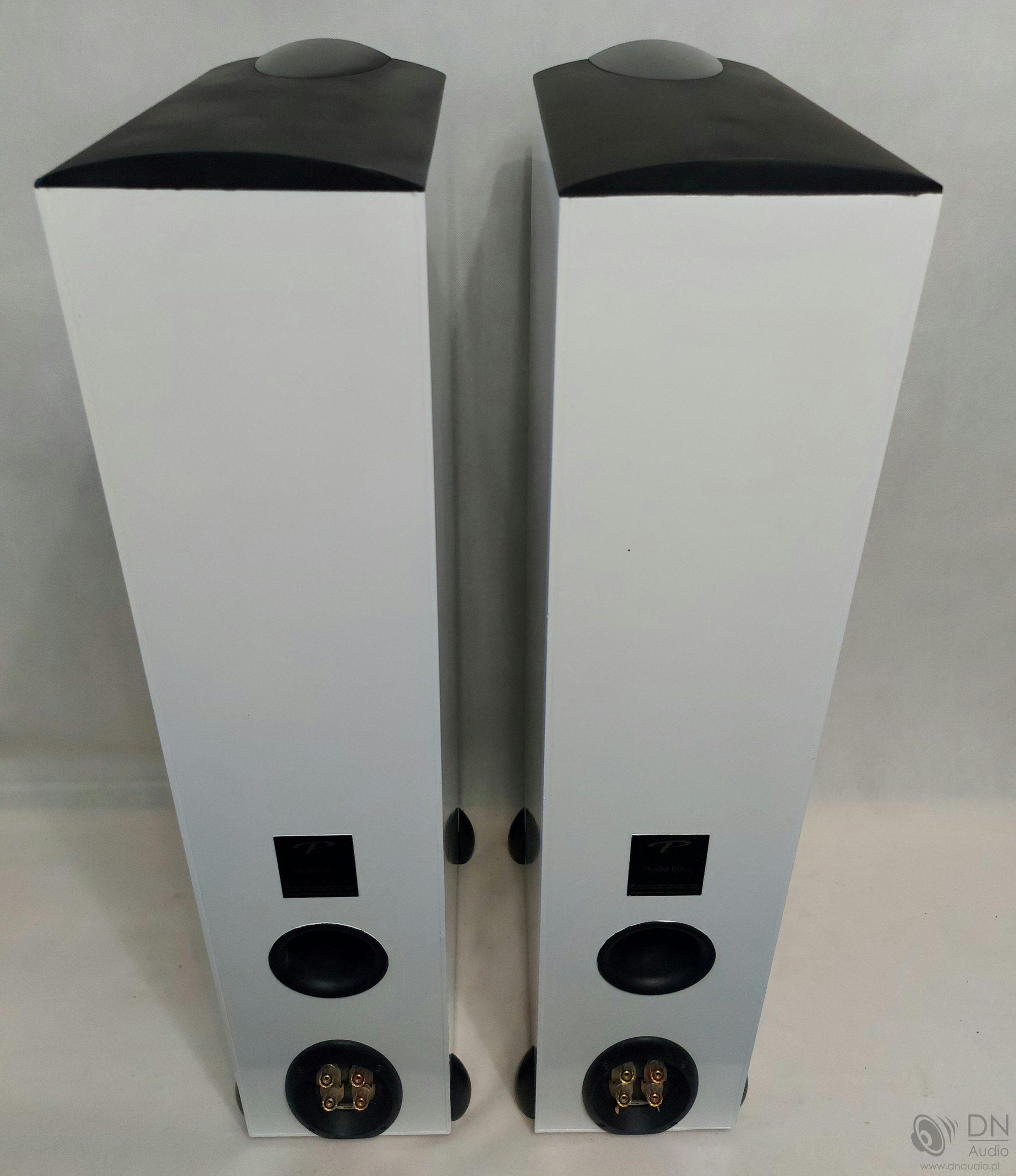 Paradigm Studio 60 V3 - obrazek 9