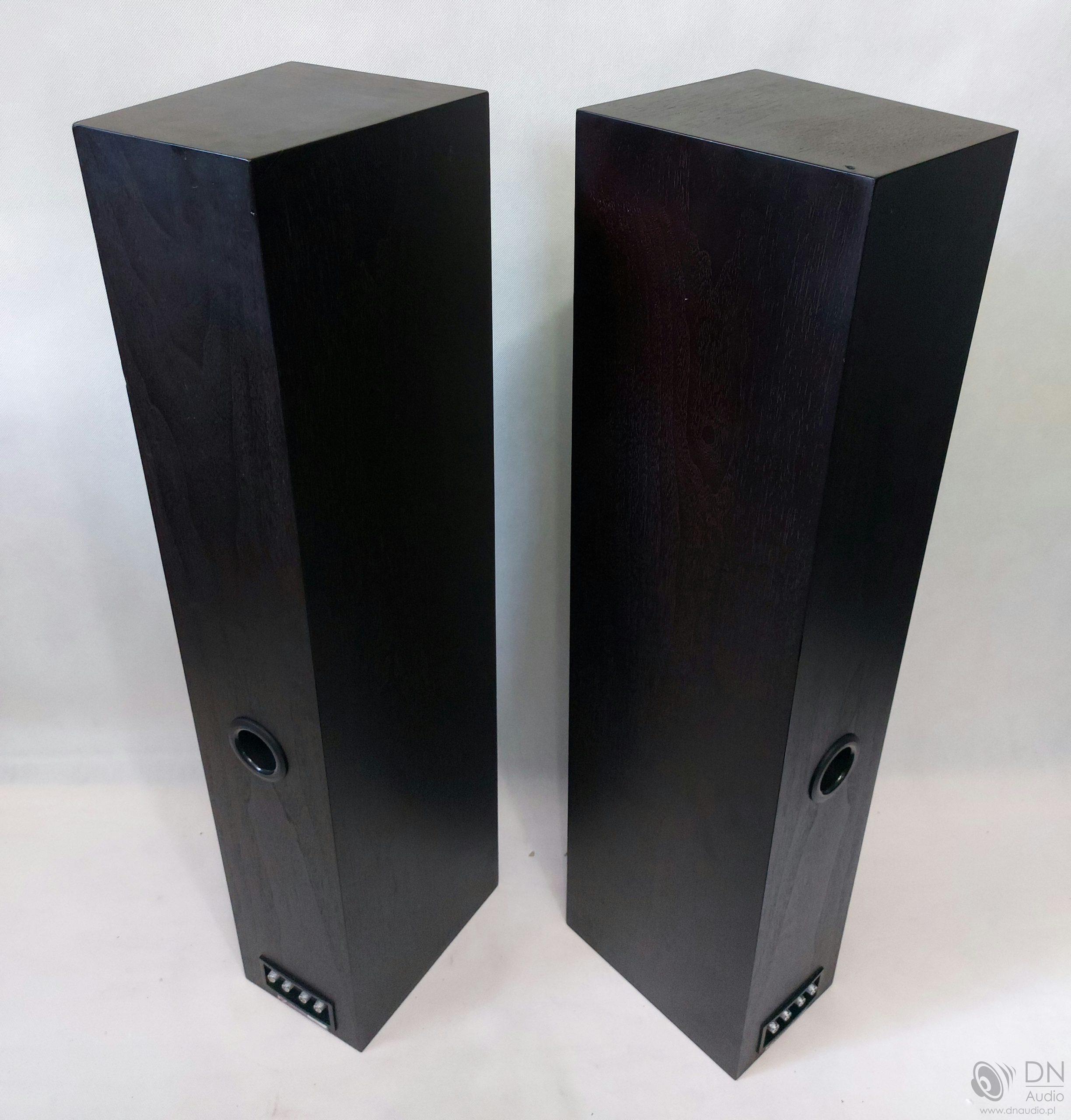 Tannoy Revolution DC6T SE - obrazek 11