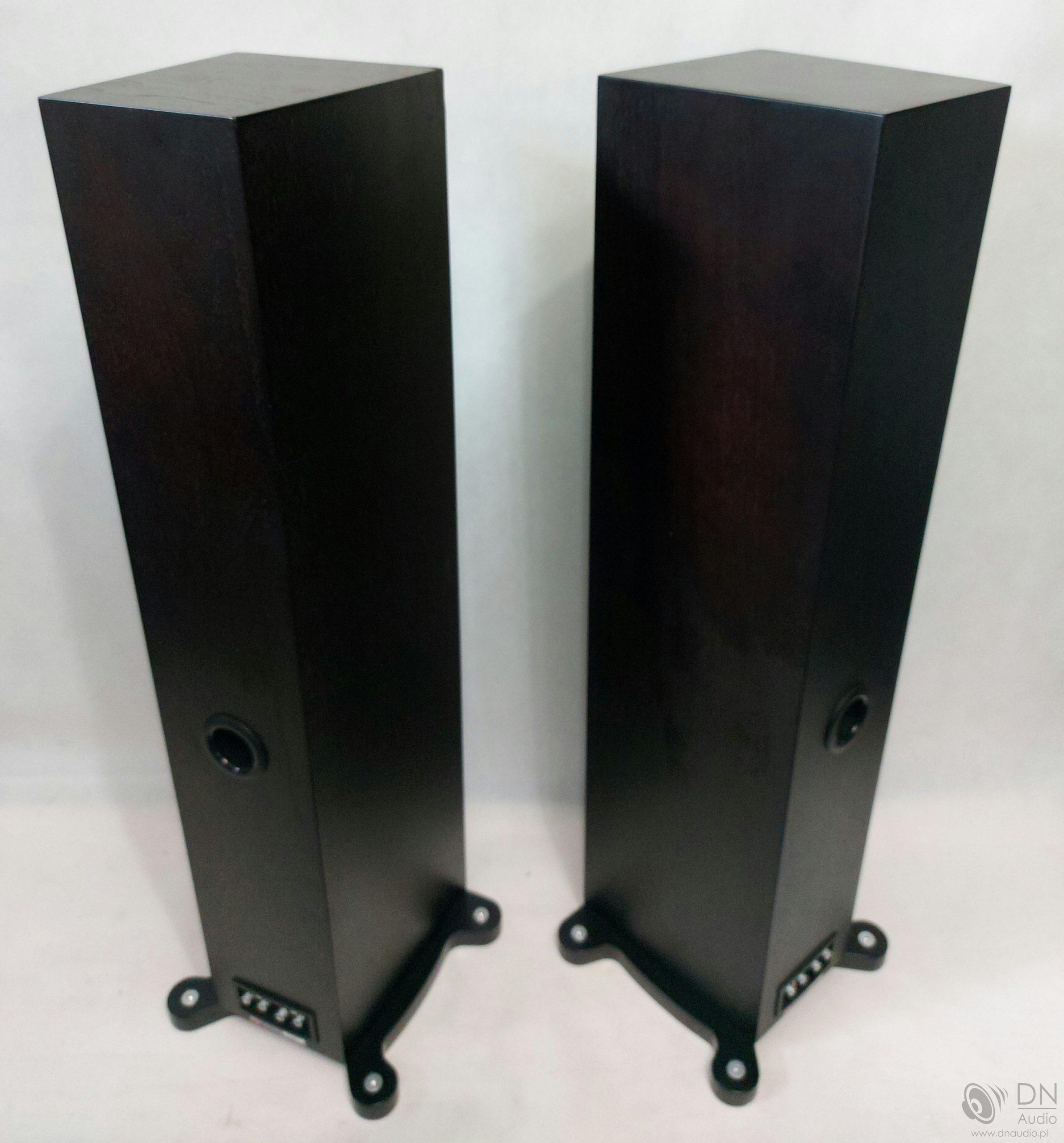 Tannoy Revolution DC6T SE - obrazek 9