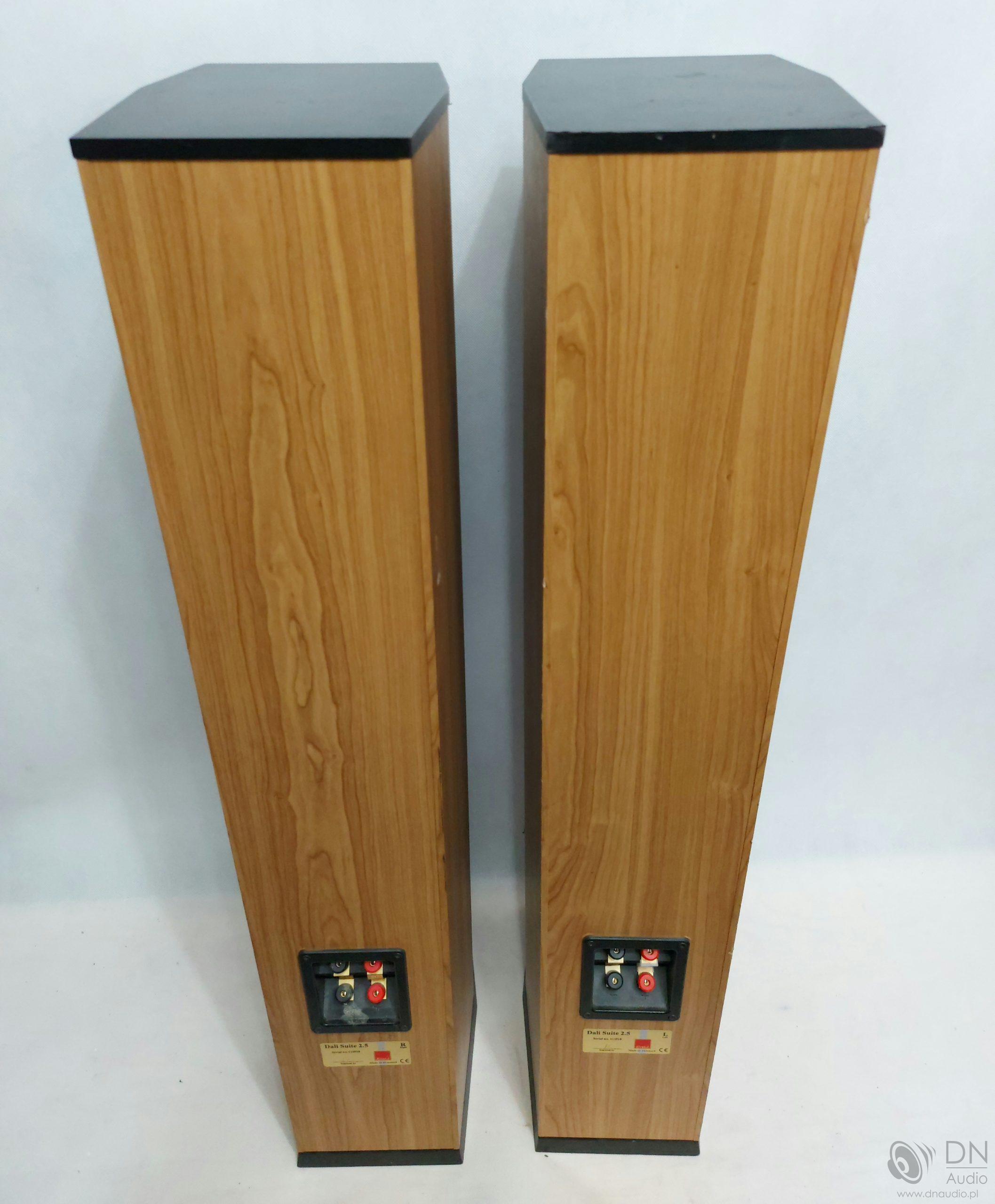 Dali Suite 2.5 - obrazek 10