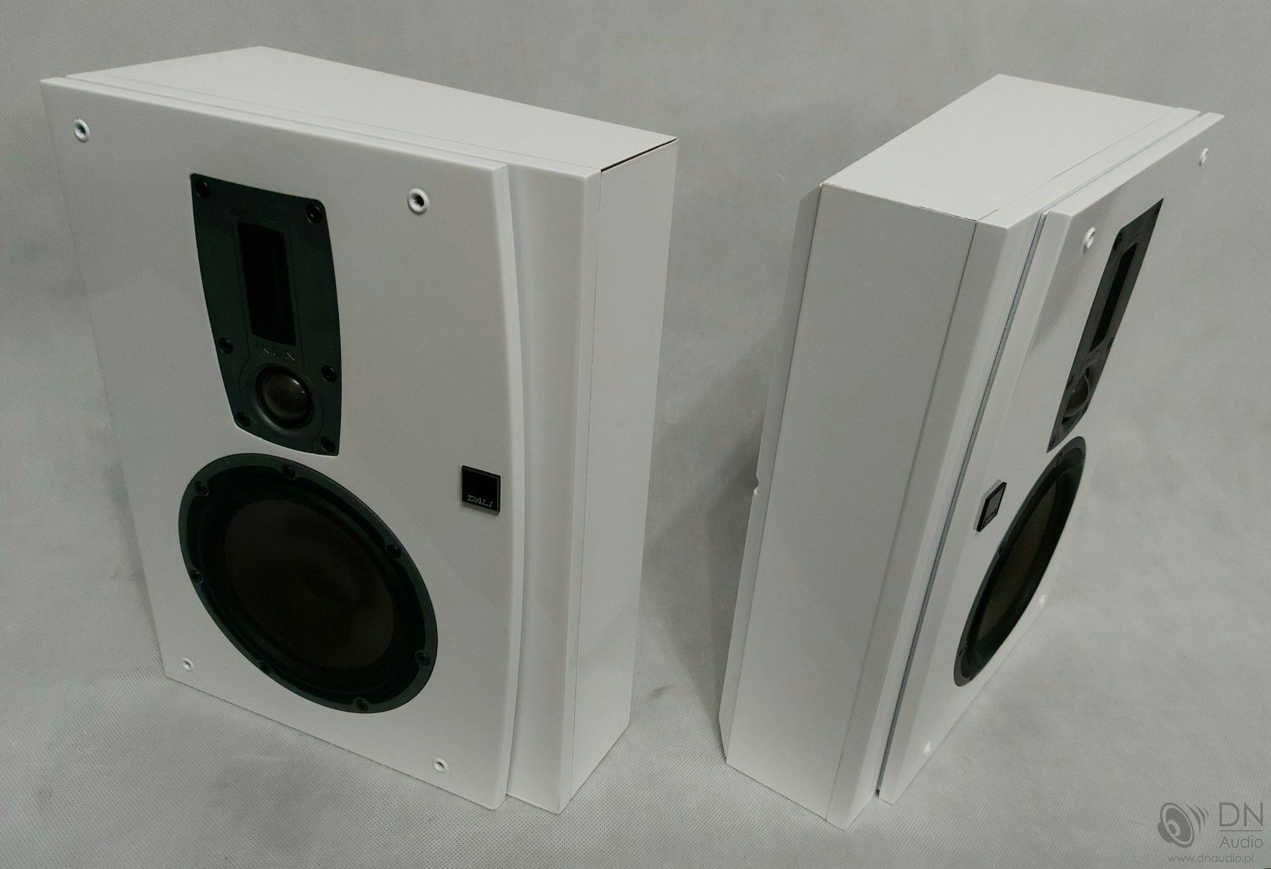 Dali Ikon On-Wall - obrazek 4