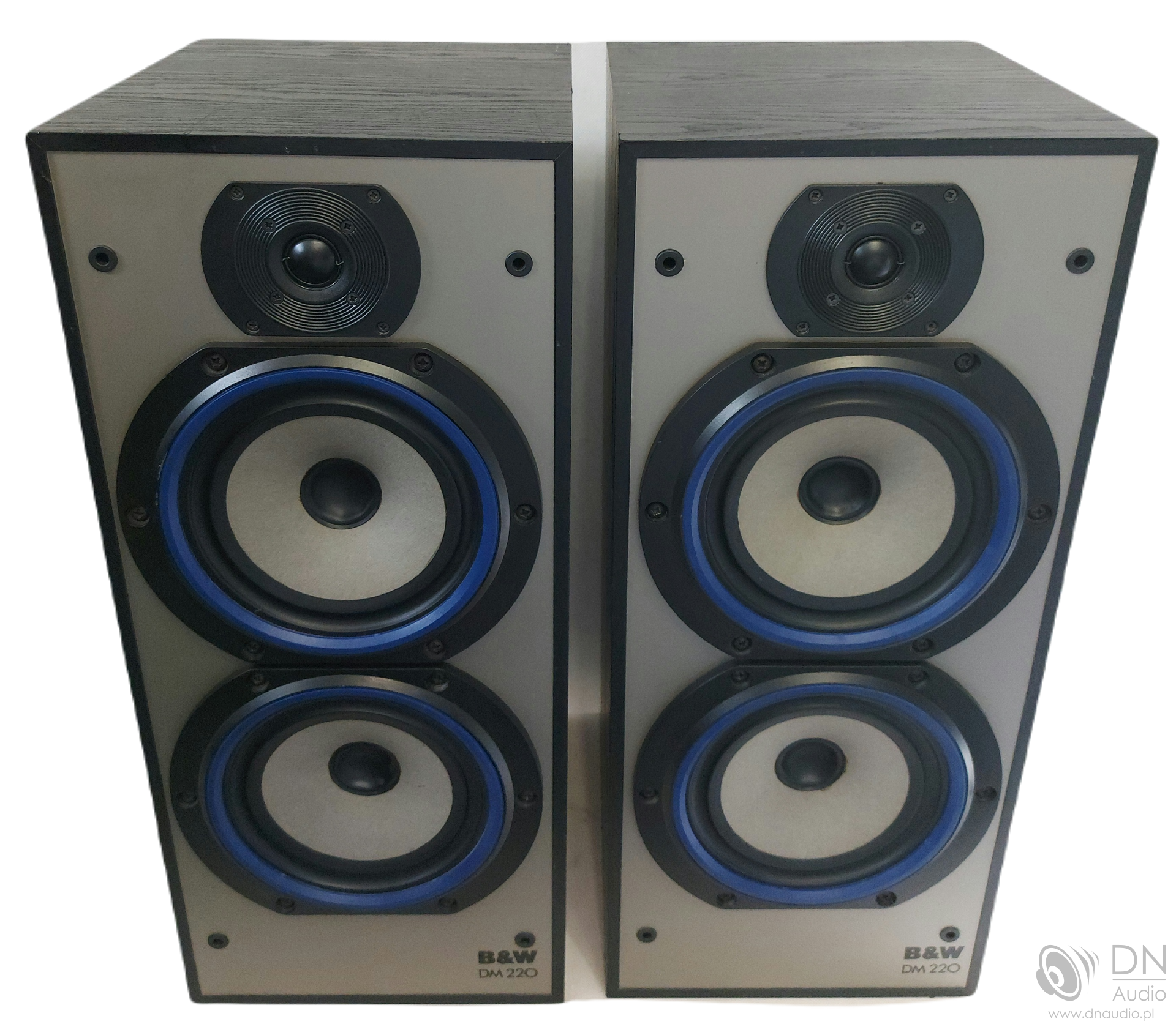 B&W DM220