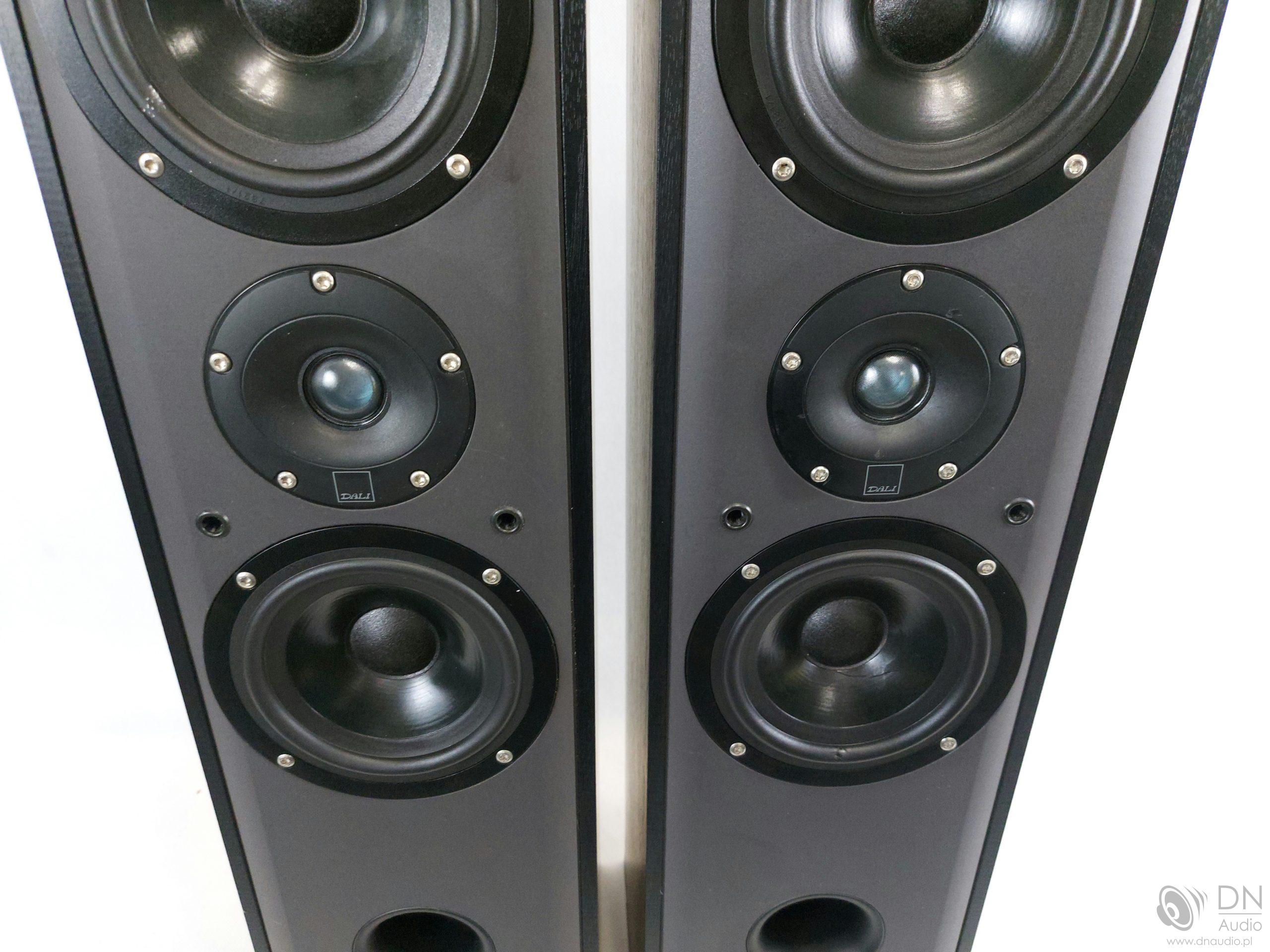 Dali Blue 3003 - obrazek 3