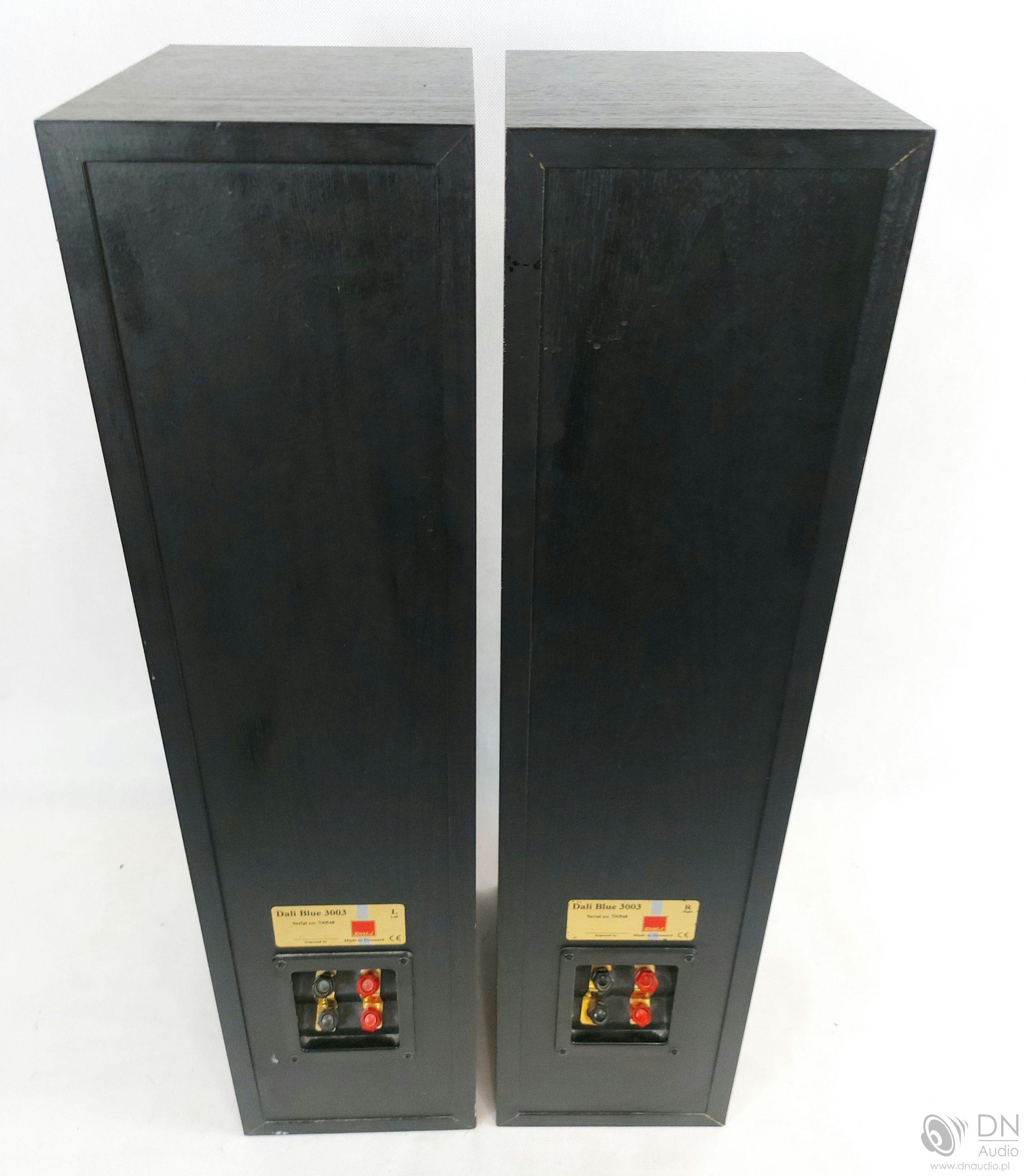 Dali Blue 3003 - obrazek 9