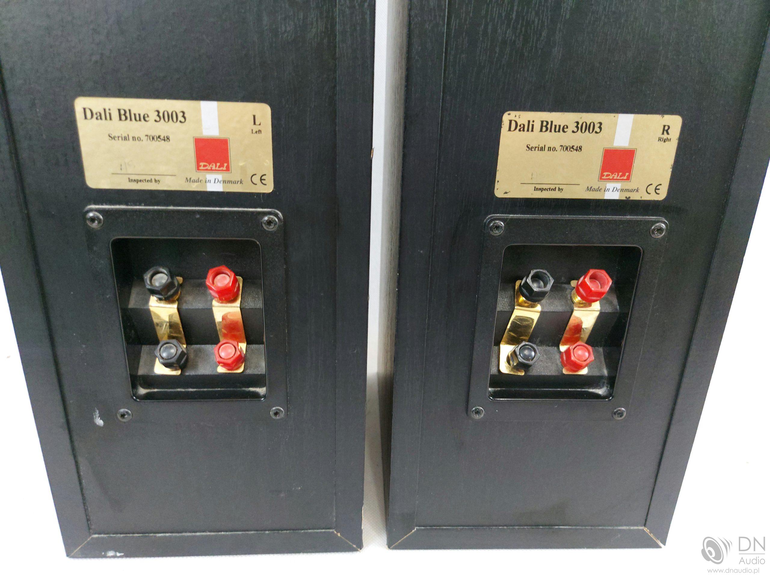 Dali Blue 3003 - obrazek 10