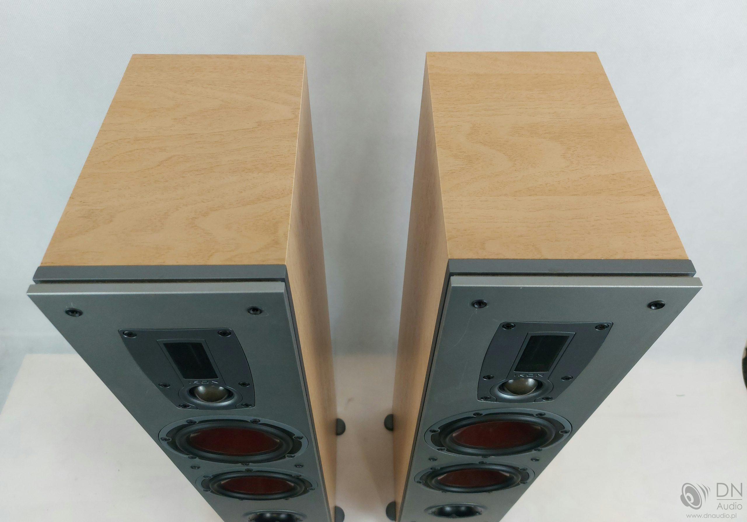 Dali Ikon 5 - obrazek 4