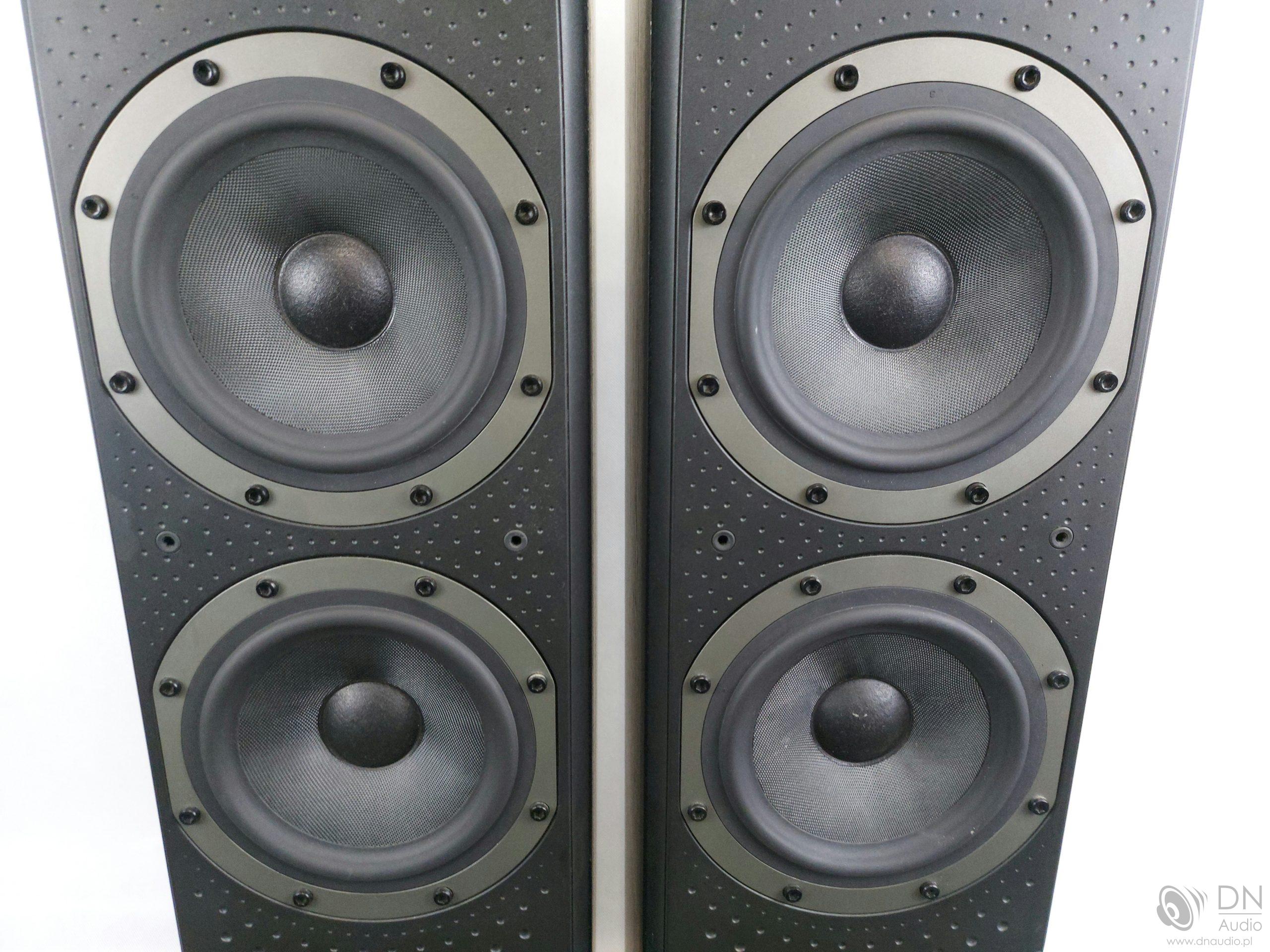 B&W DM309 - obrazek 6