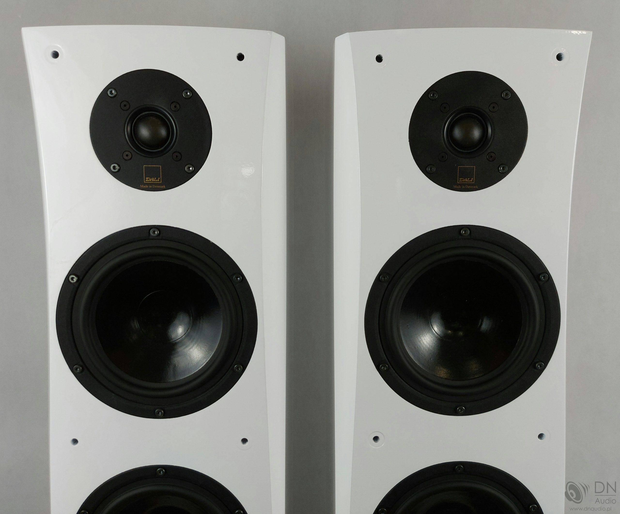 Dali Grand Diva - obrazek 4