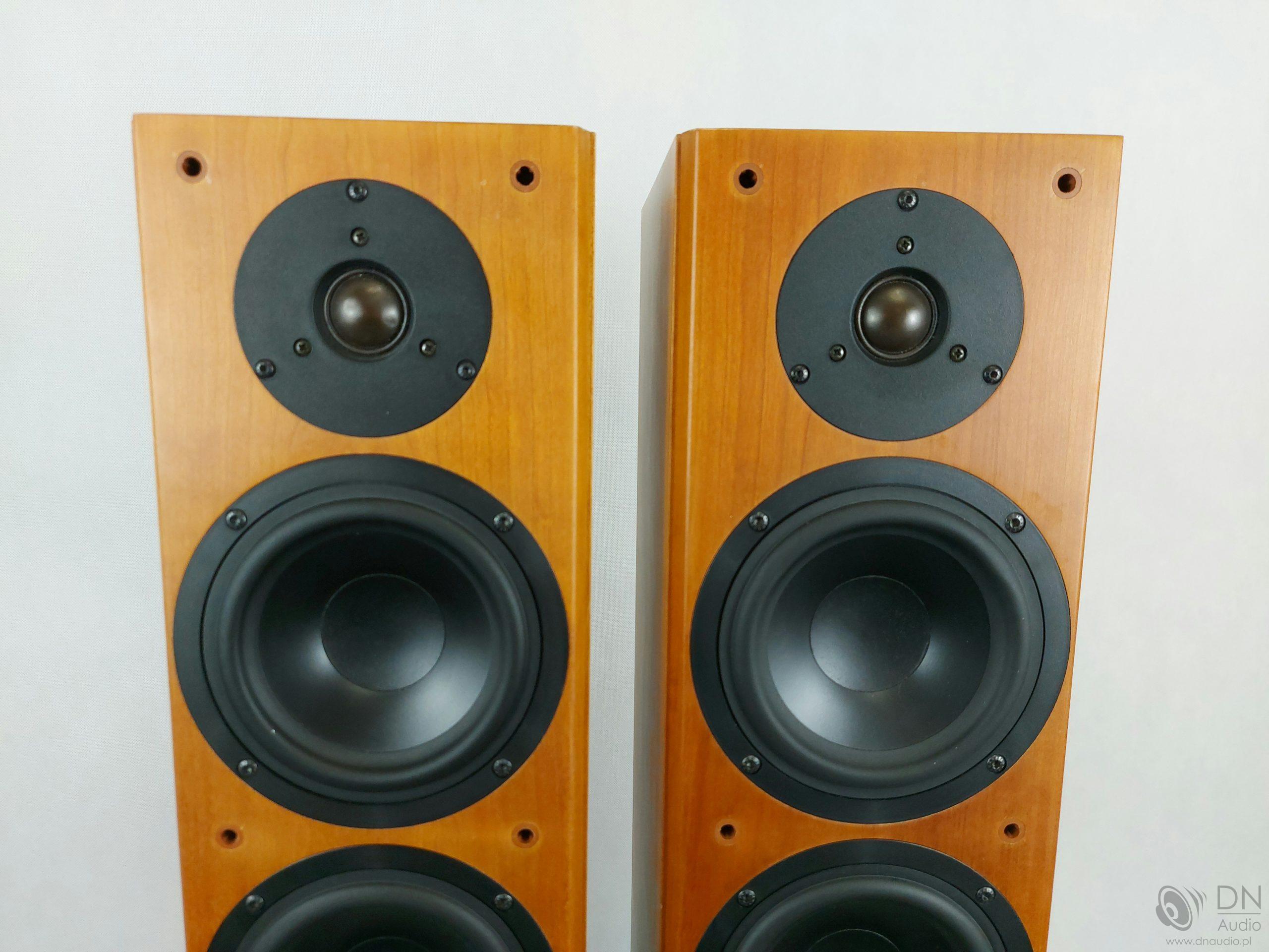 Tannoy Revolution R2 - obrazek 6