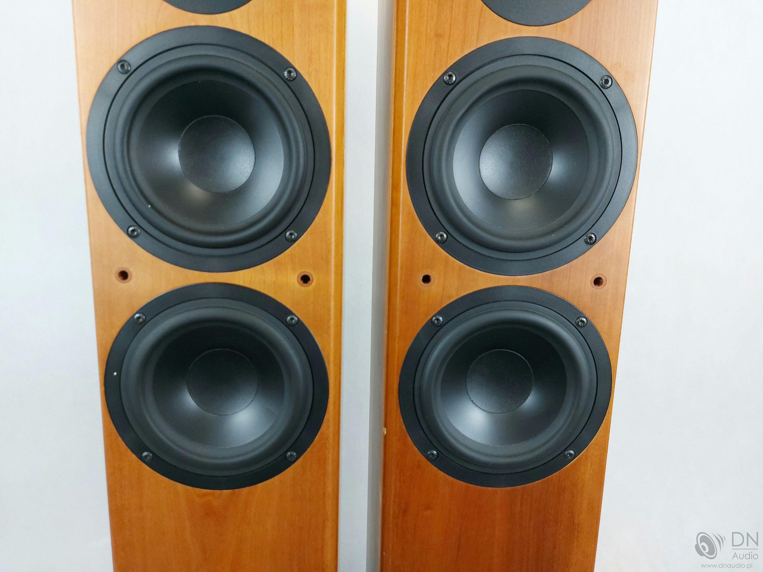 Tannoy Revolution R2 - obrazek 7