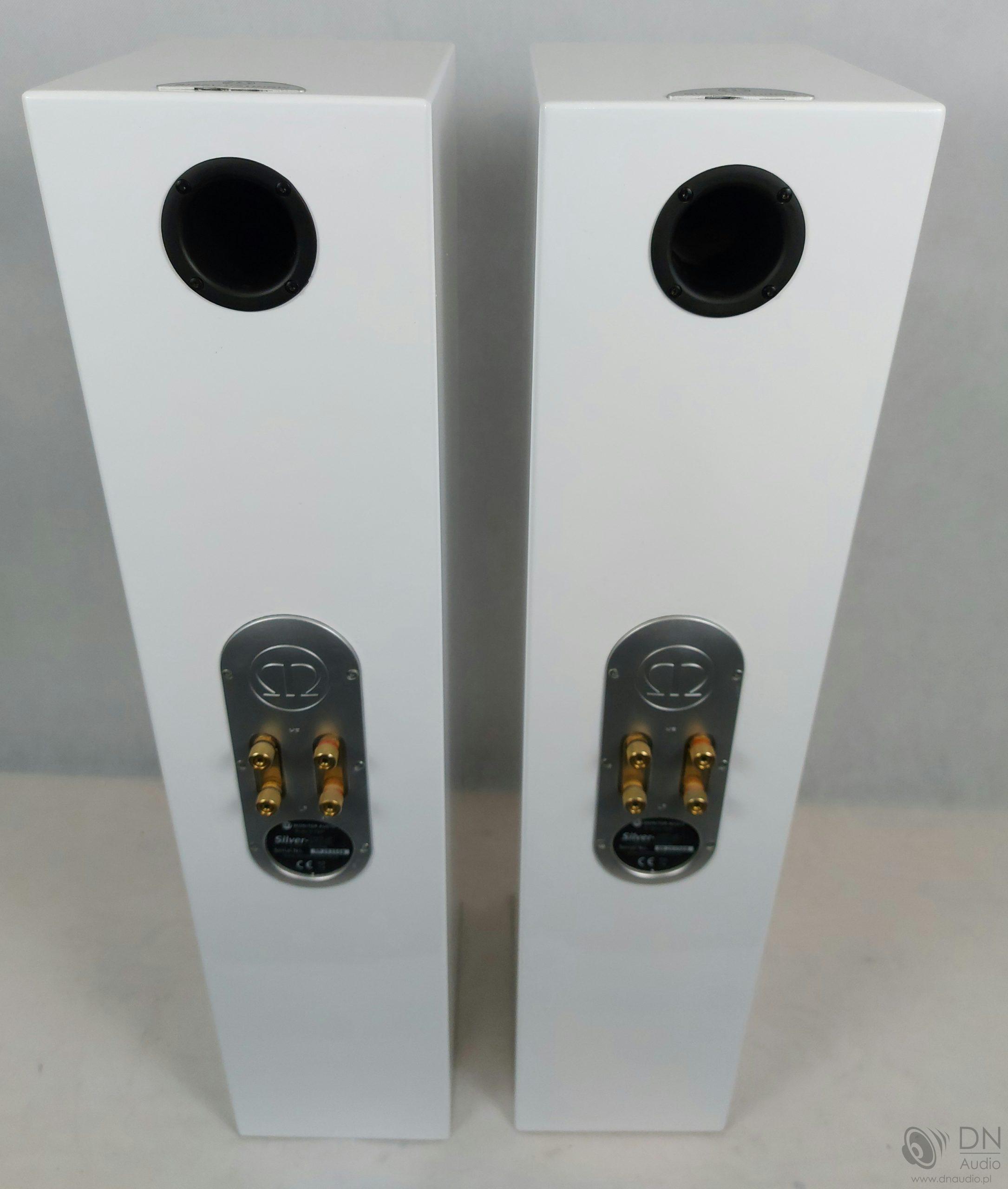 Monitor Audio Silver RS6 - obrazek 11