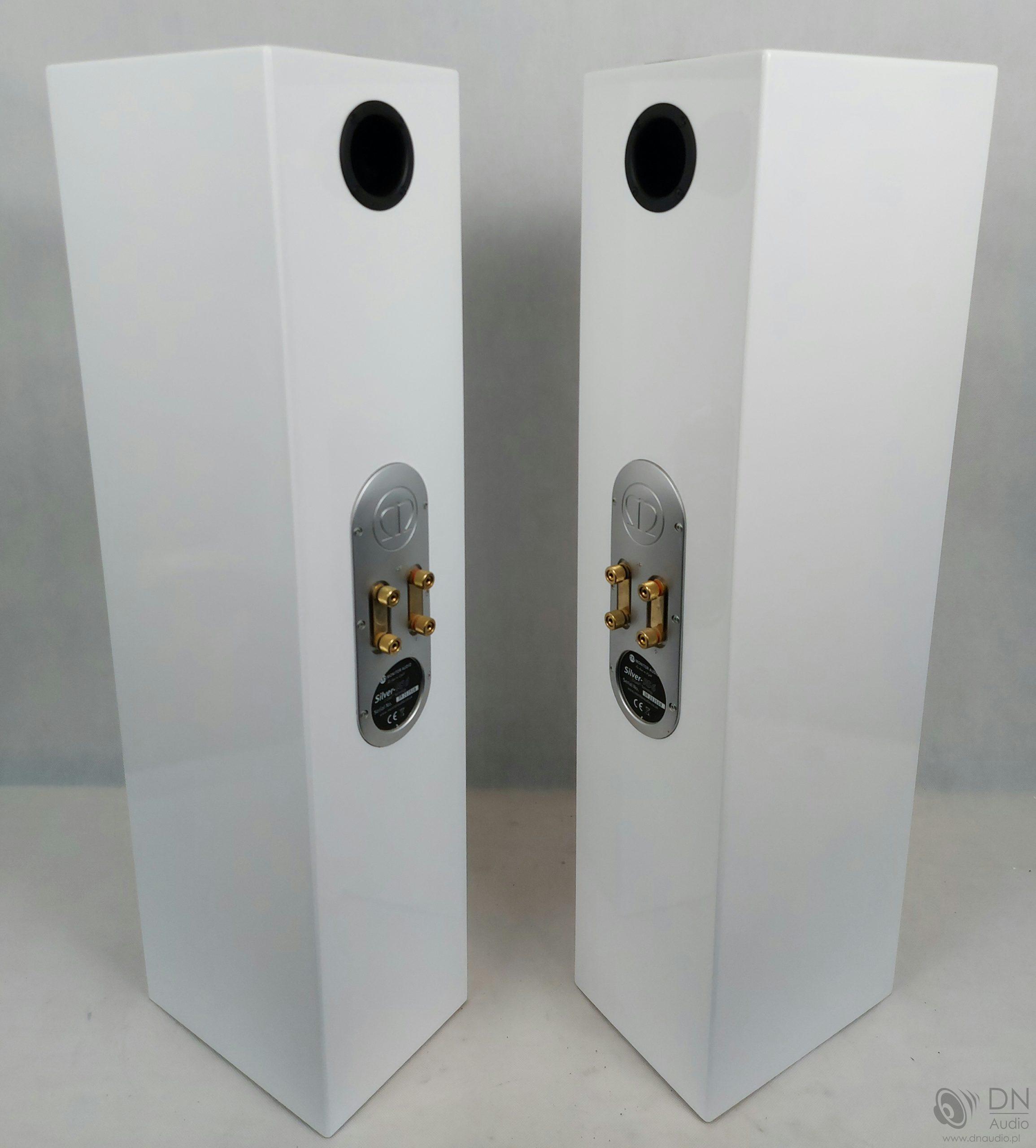 Monitor Audio Silver RS6 - obrazek 10