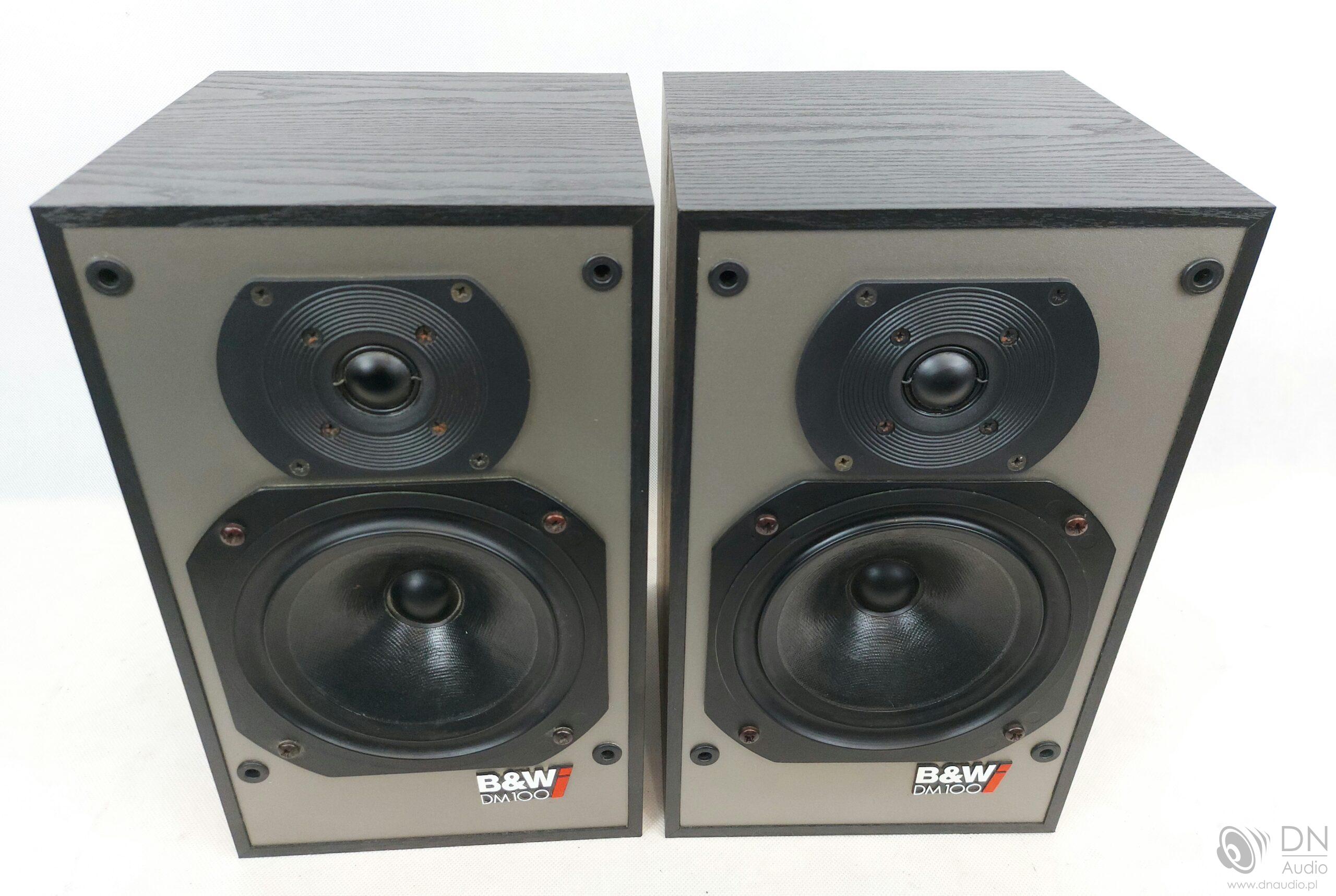 B&W DM100i