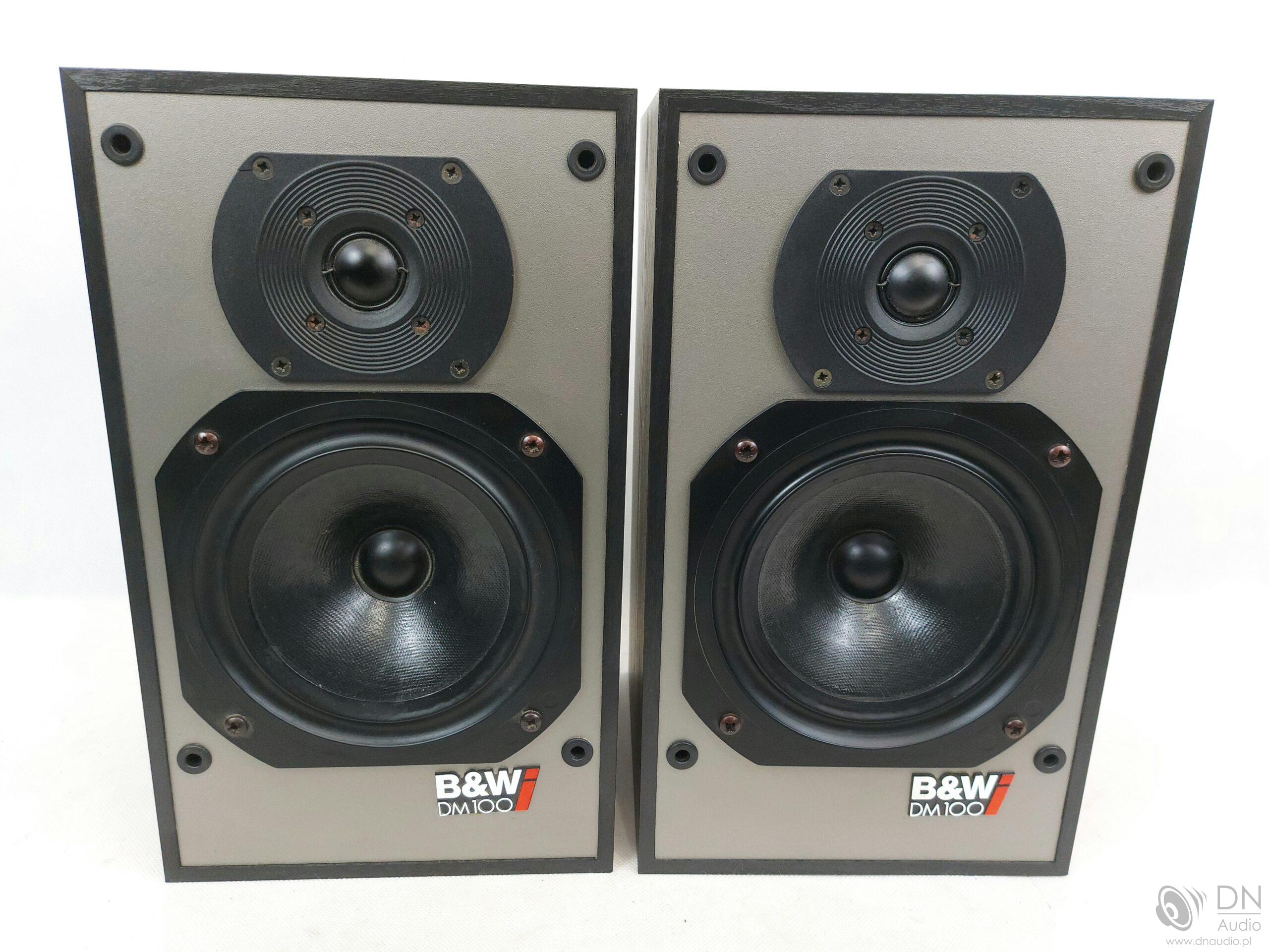 B&W DM100i - obrazek 3