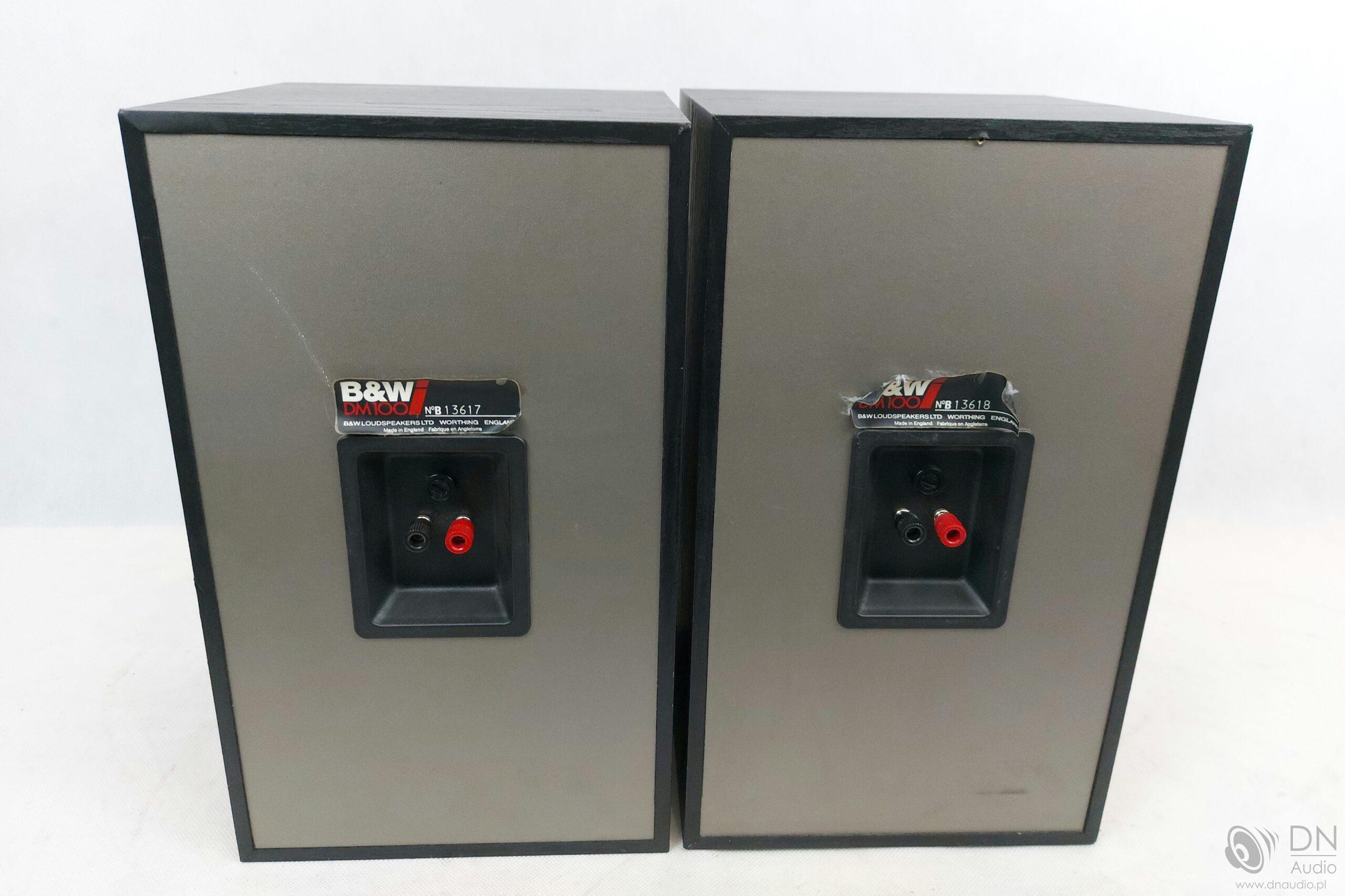 B&W DM100i - obrazek 7