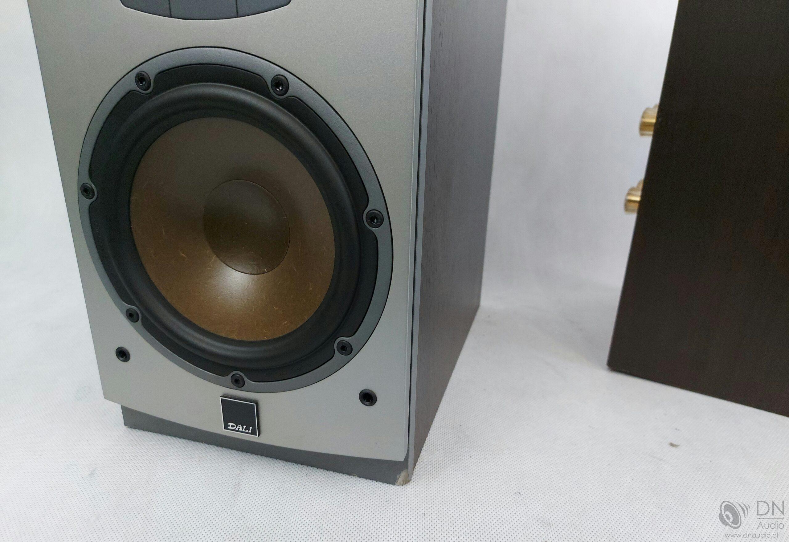 Dali Ikon 2 - obrazek 5