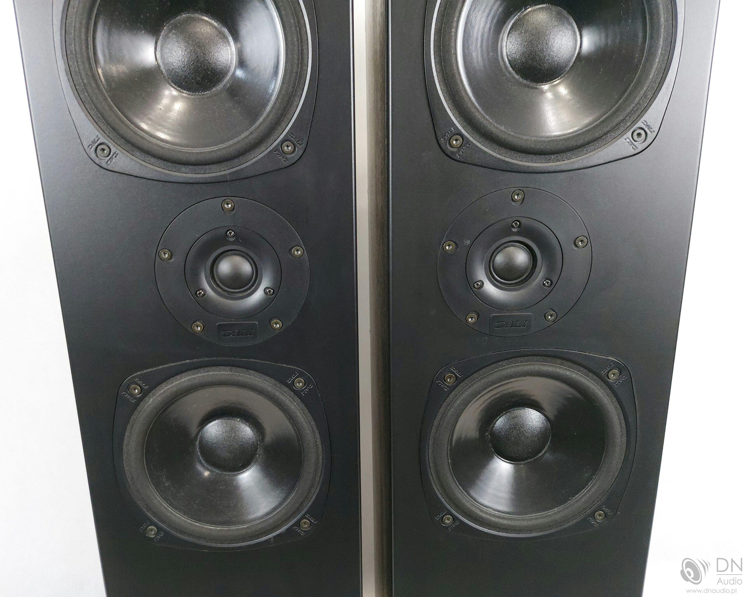 Dali 505 - obrazek 4