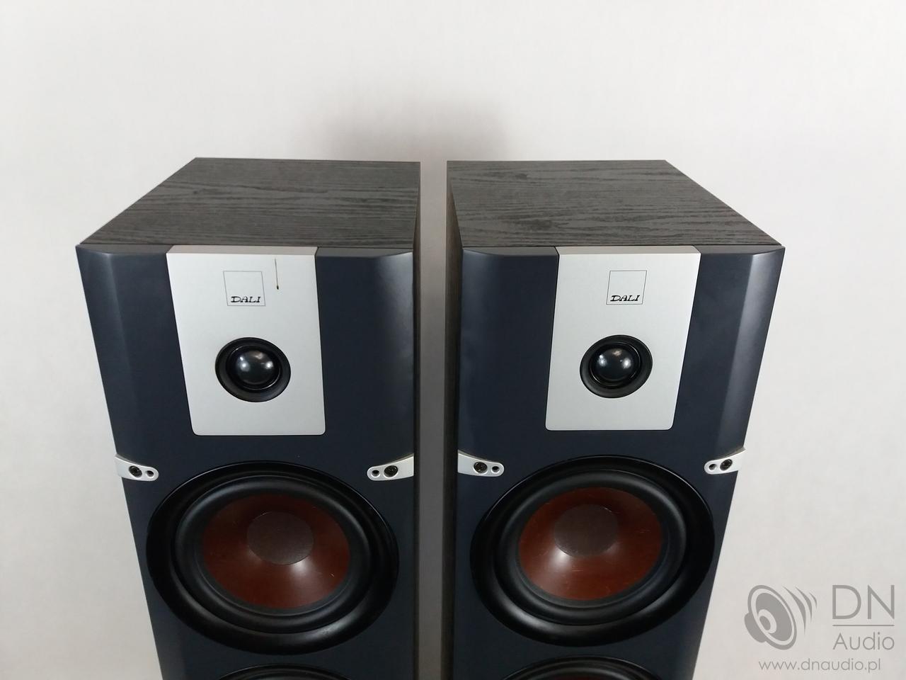 Dali Lektor 6 - obrazek 4