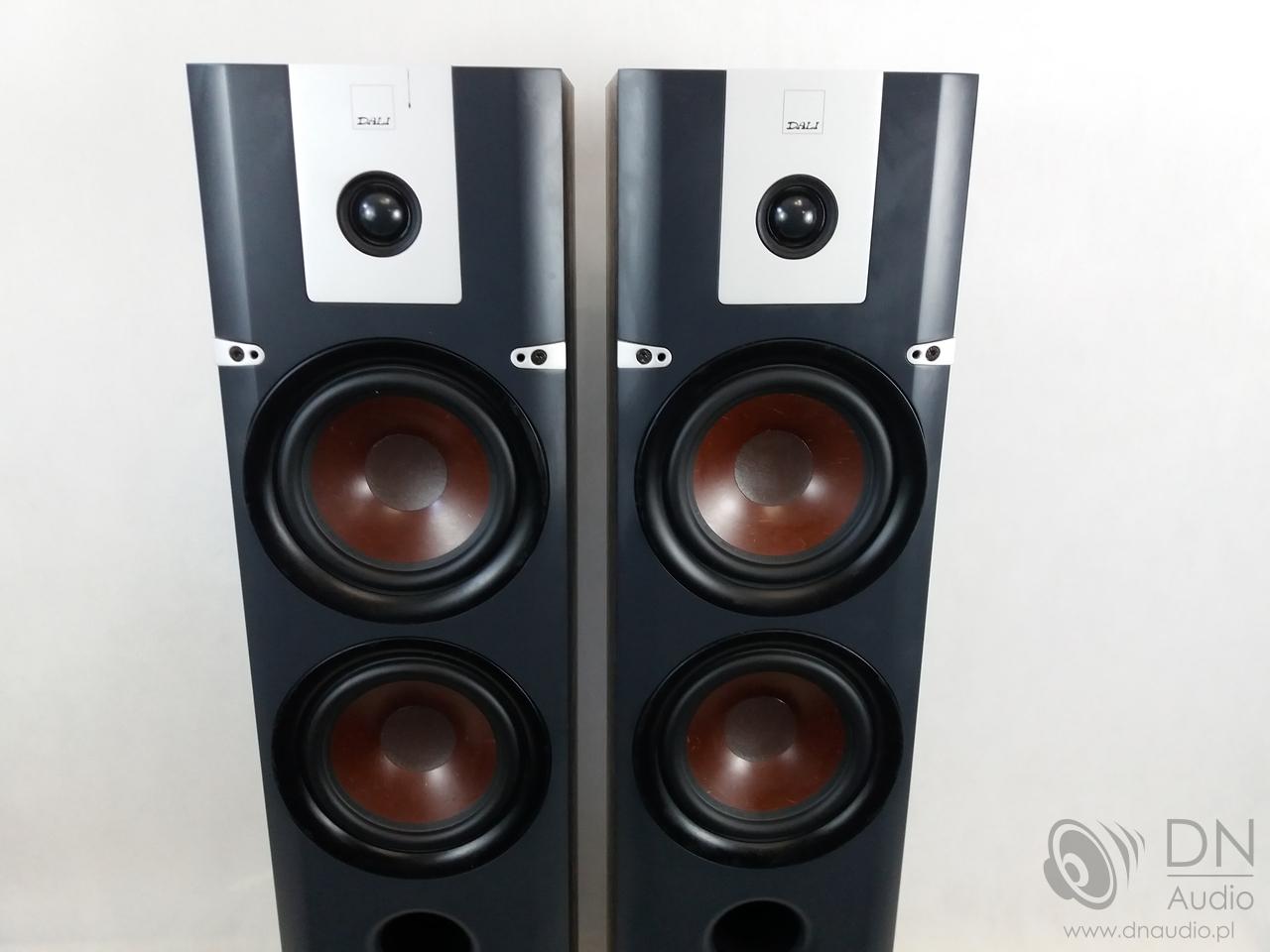 Dali Lektor 6 - obrazek 5