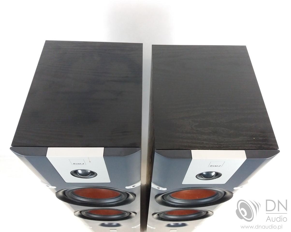 Dali Lektor 6 - obrazek 6