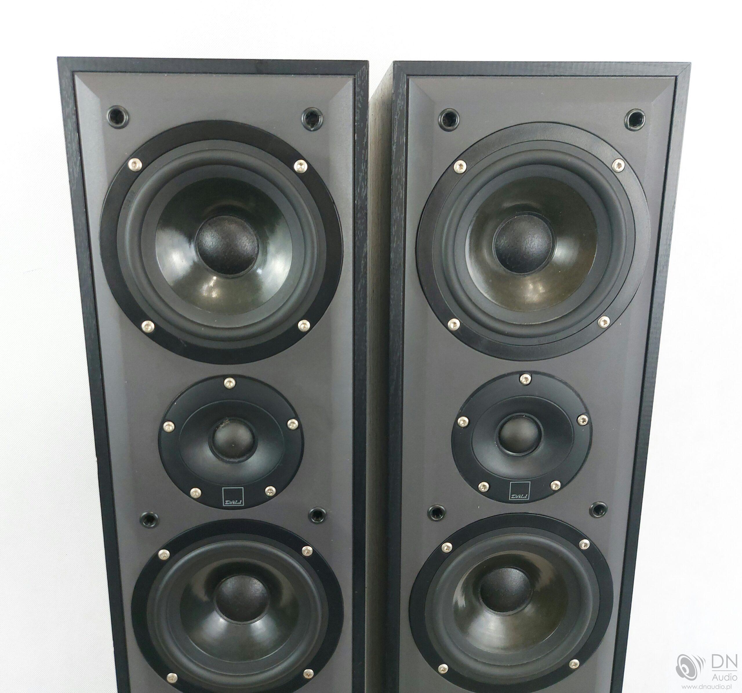 Dali Blue 3003 - obrazek 3