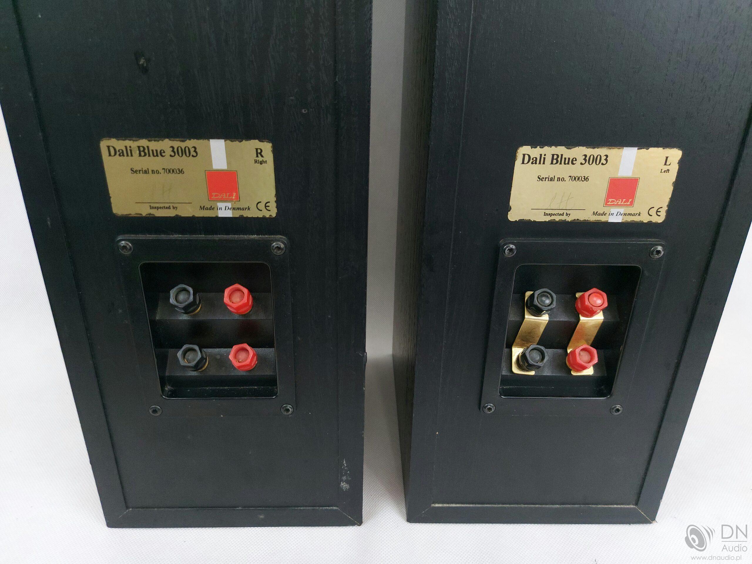 Dali Blue 3003 - obrazek 11