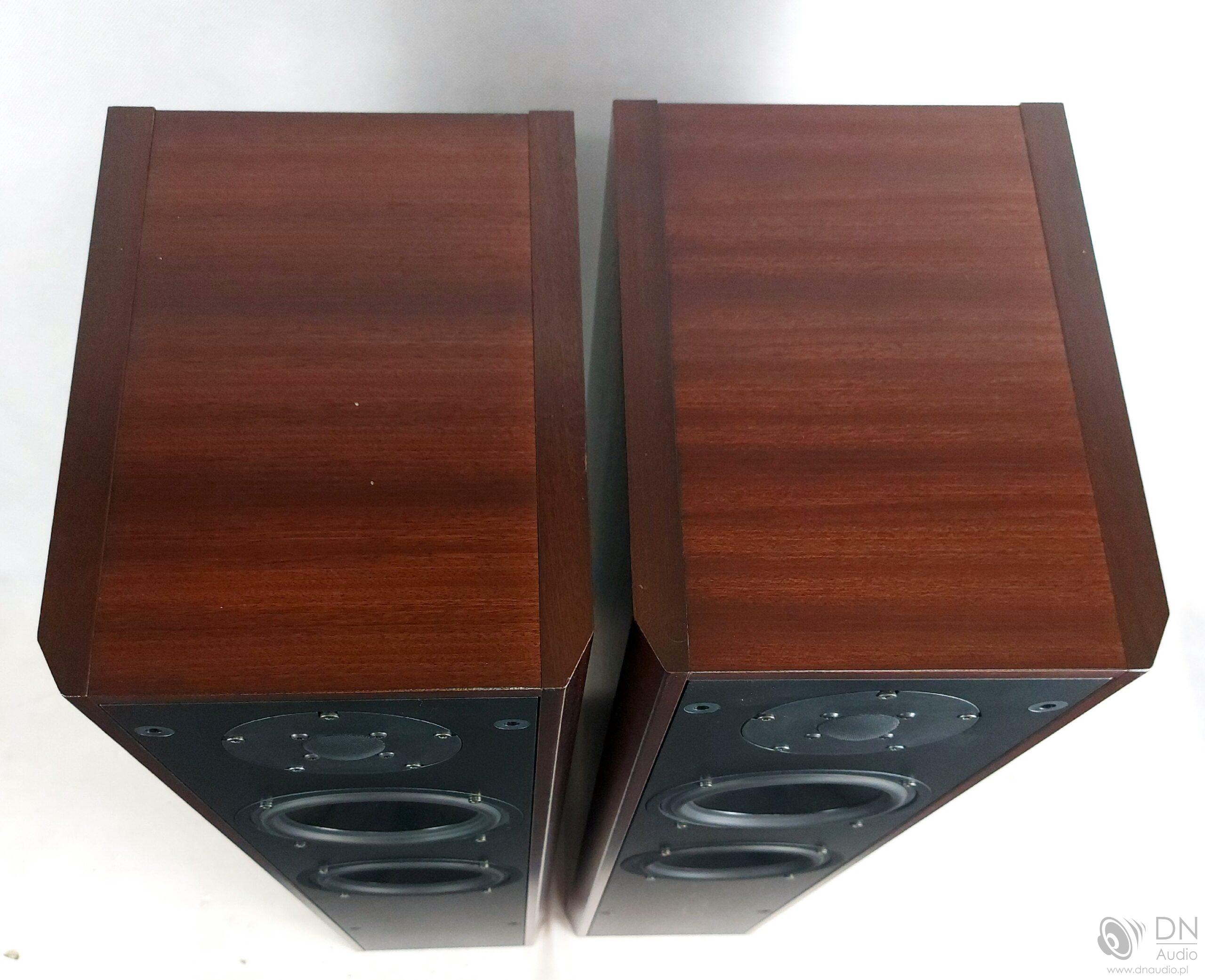 Dali 450 - obrazek 12