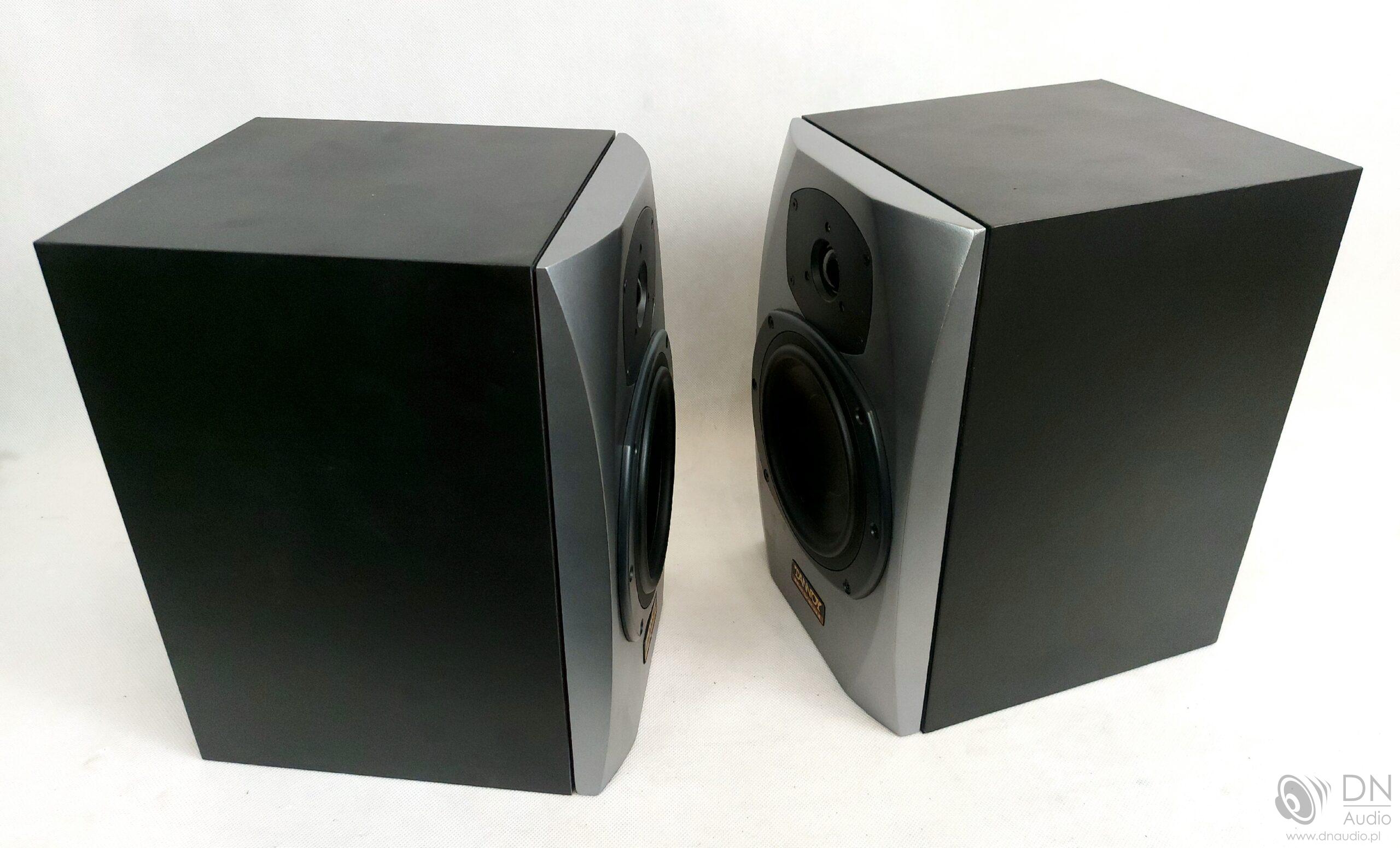 Tannoy Reveal - obrazek 4