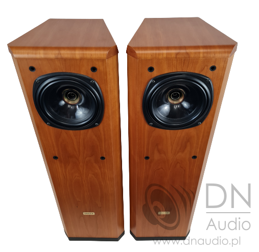 Tannoy Definition D300