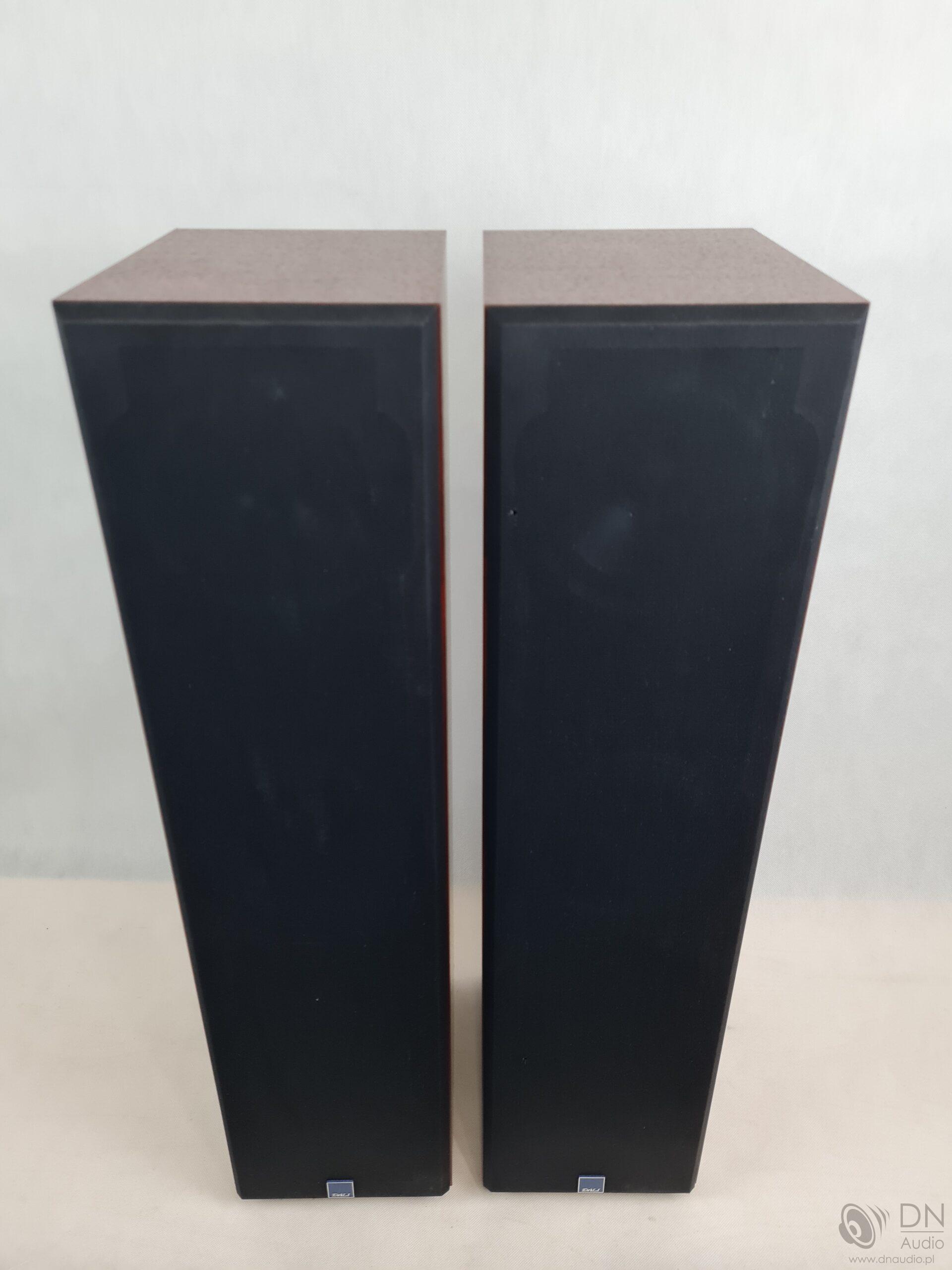 Dali 104 - obrazek 2