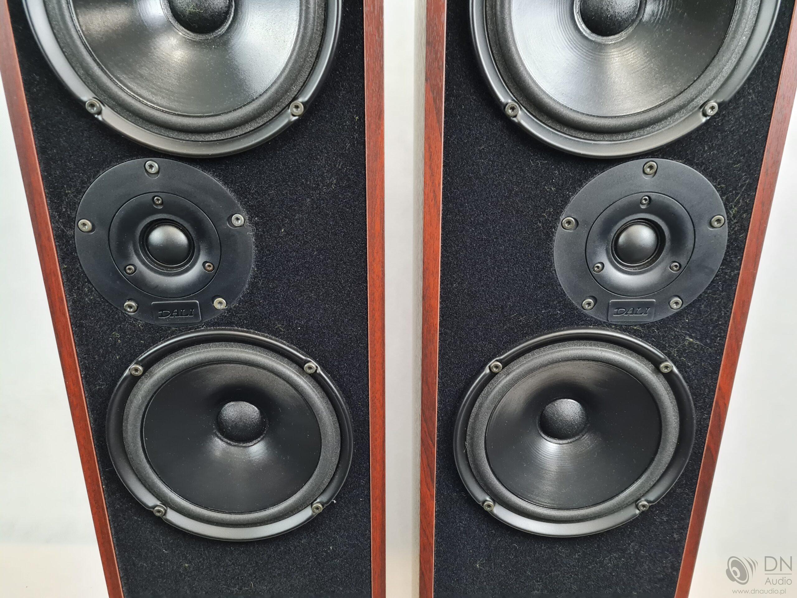 Dali 104 - obrazek 5