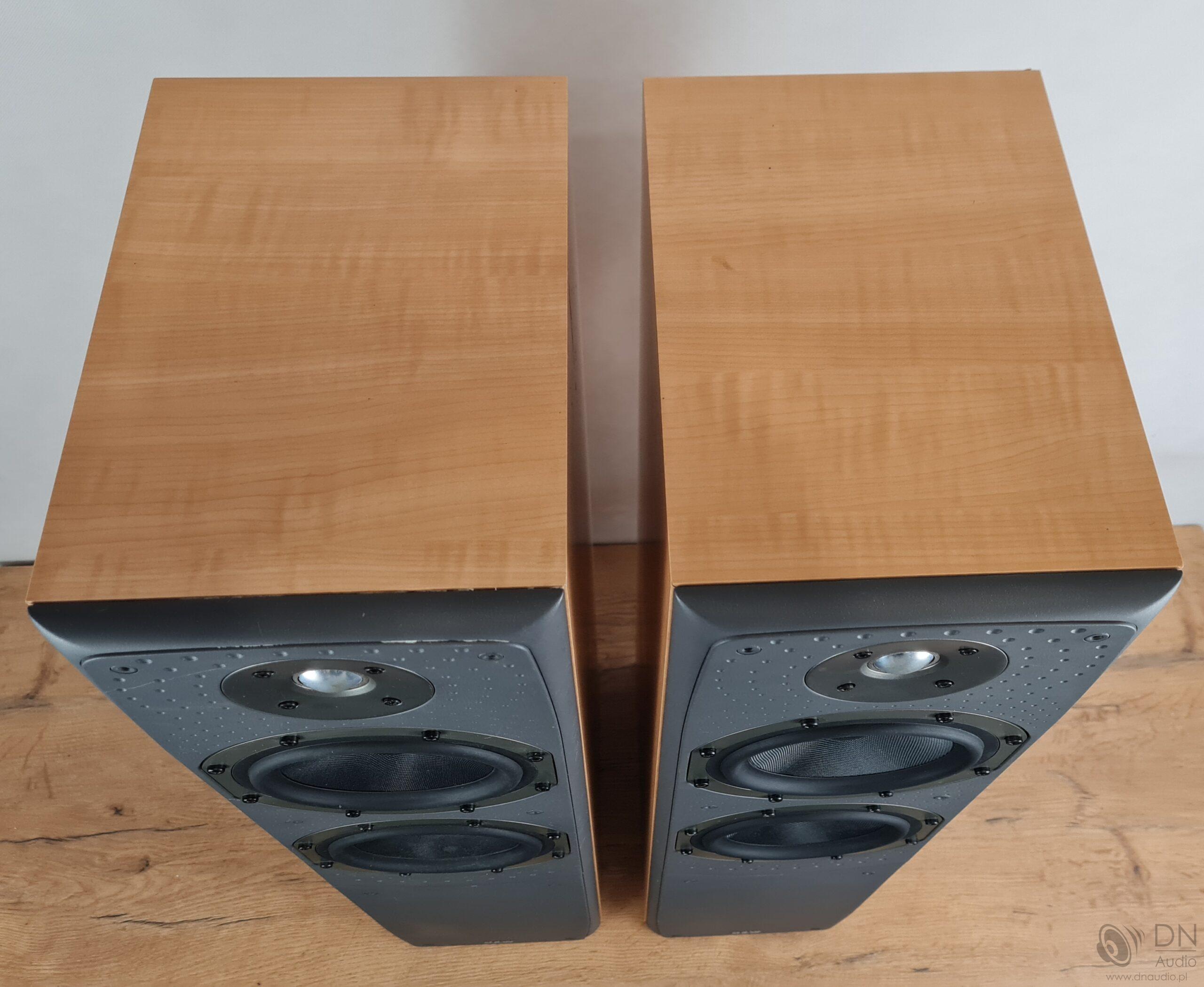 B&W DM309 - obrazek 8