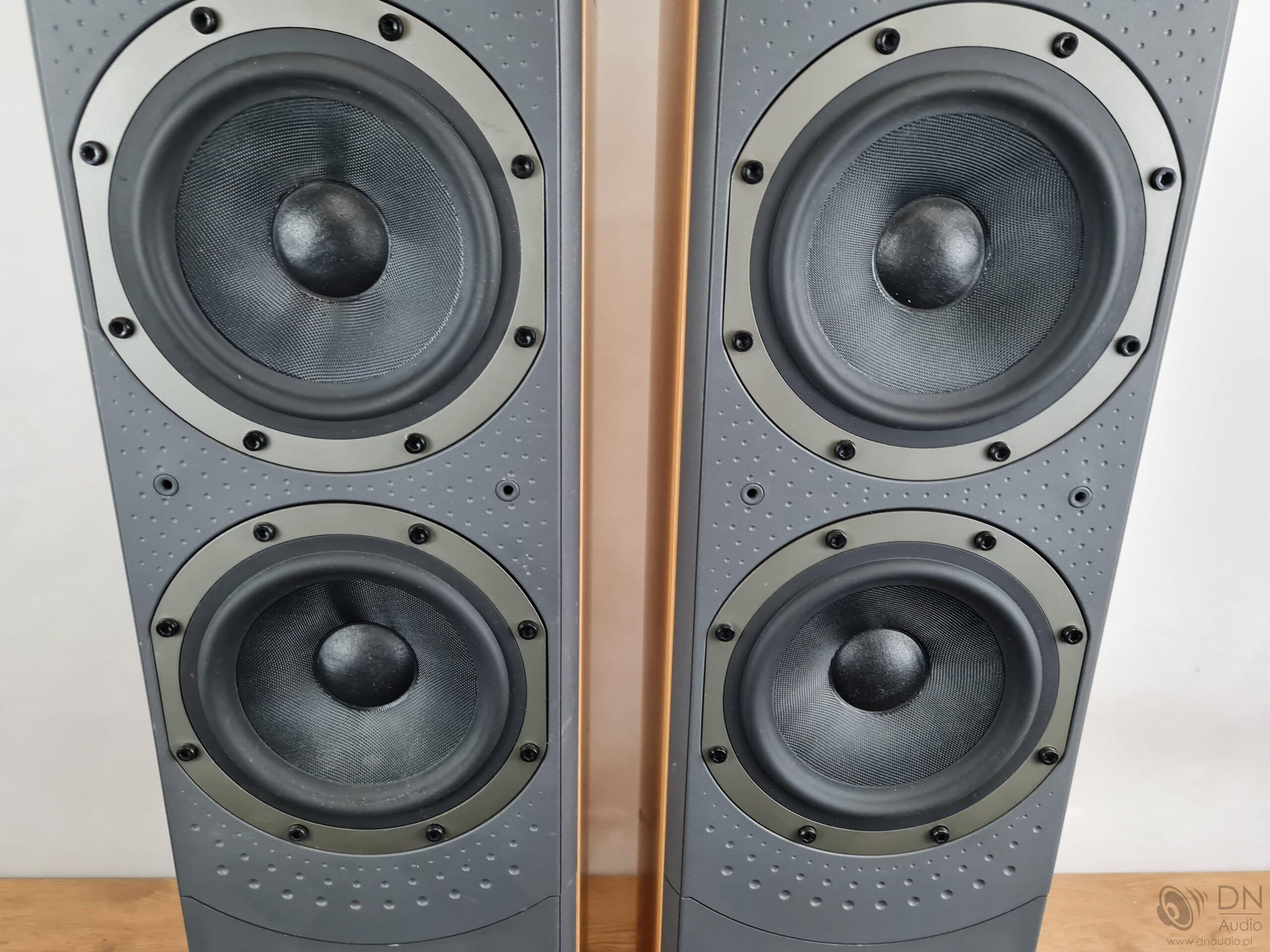 B&W DM309 - obrazek 7