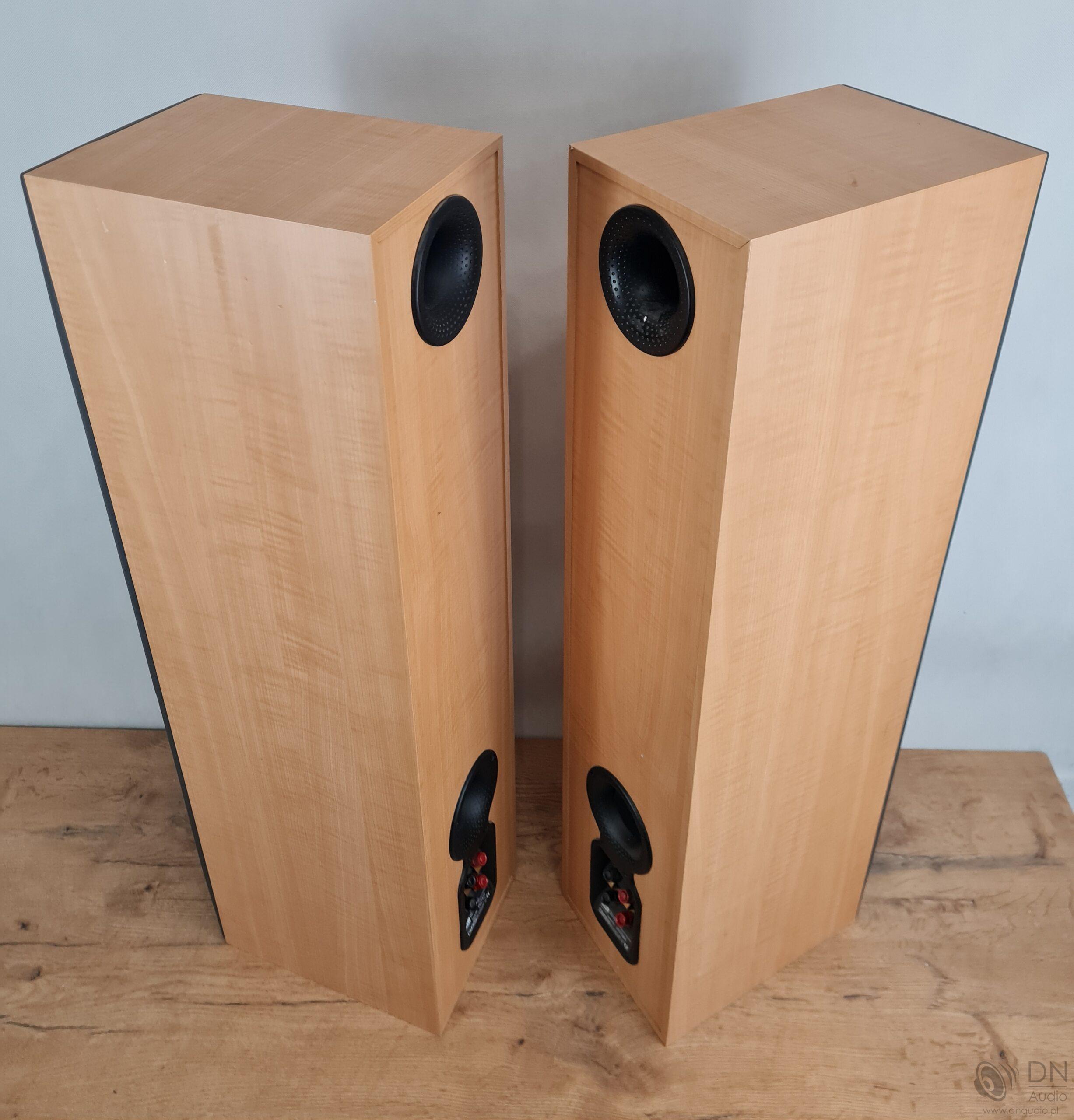 B&W DM309 - obrazek 13