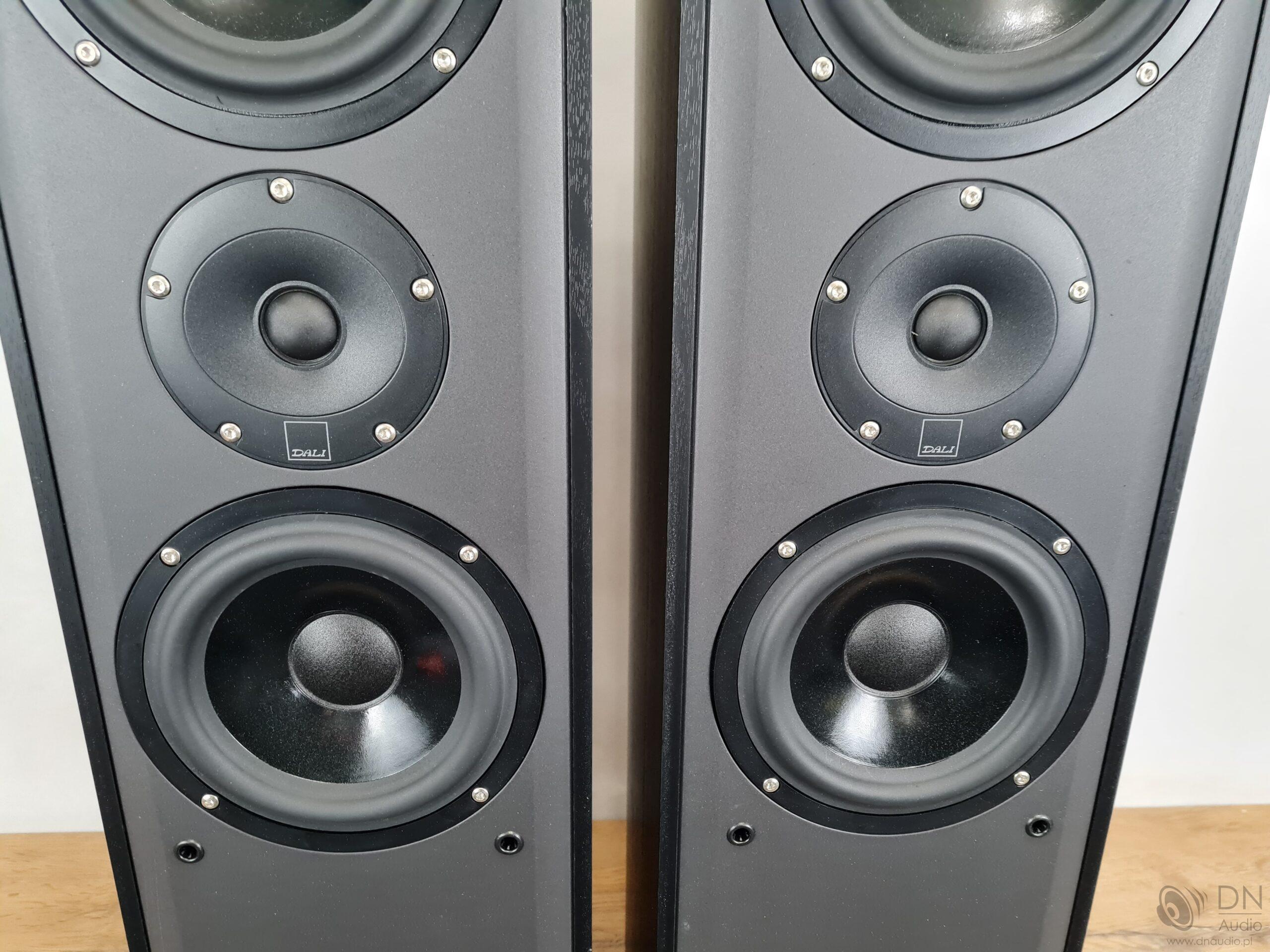 Dali Blue 5005 - obrazek 8